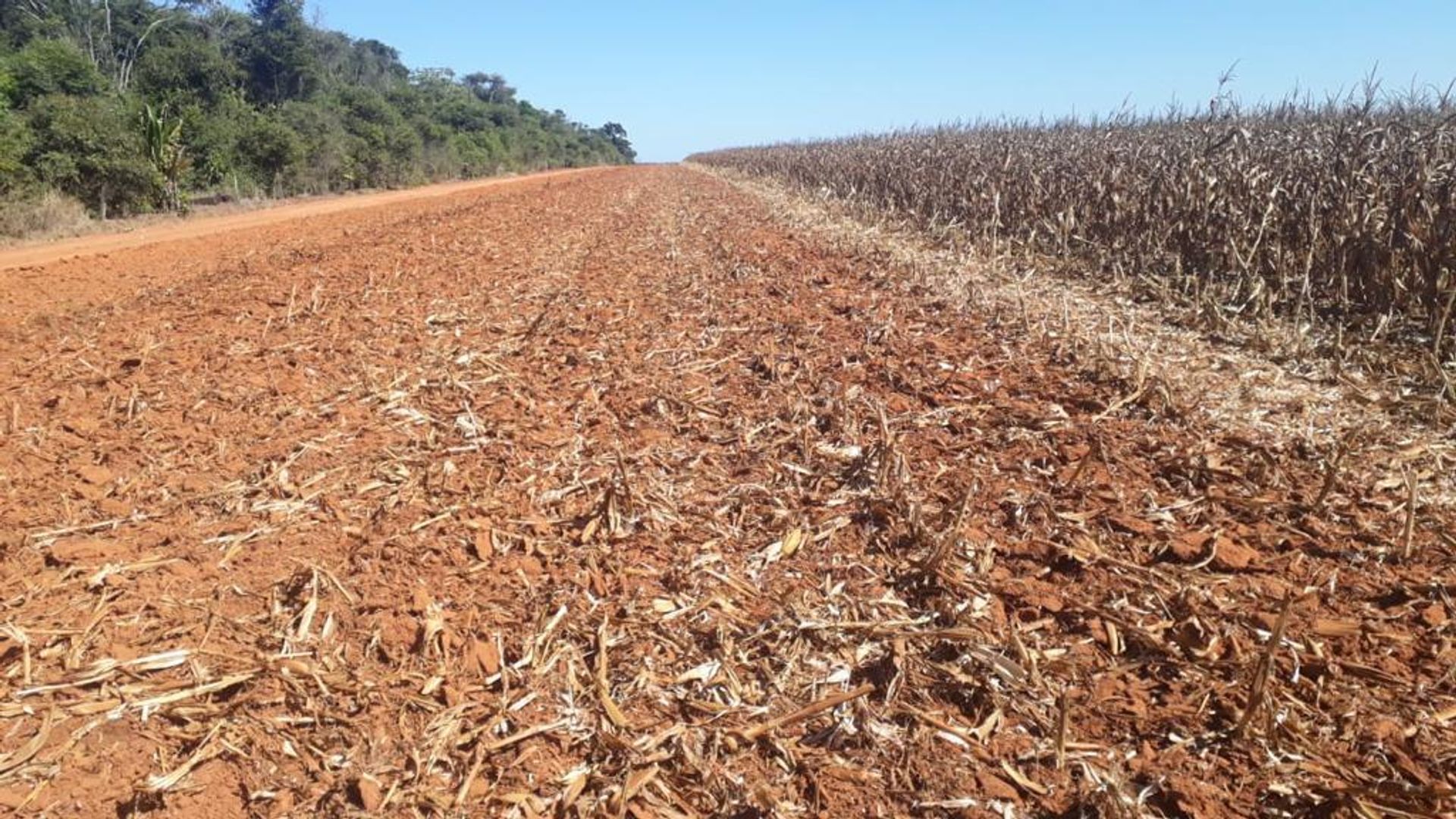 Autre dans Nova Ubirata, Mato Grosso 11937402