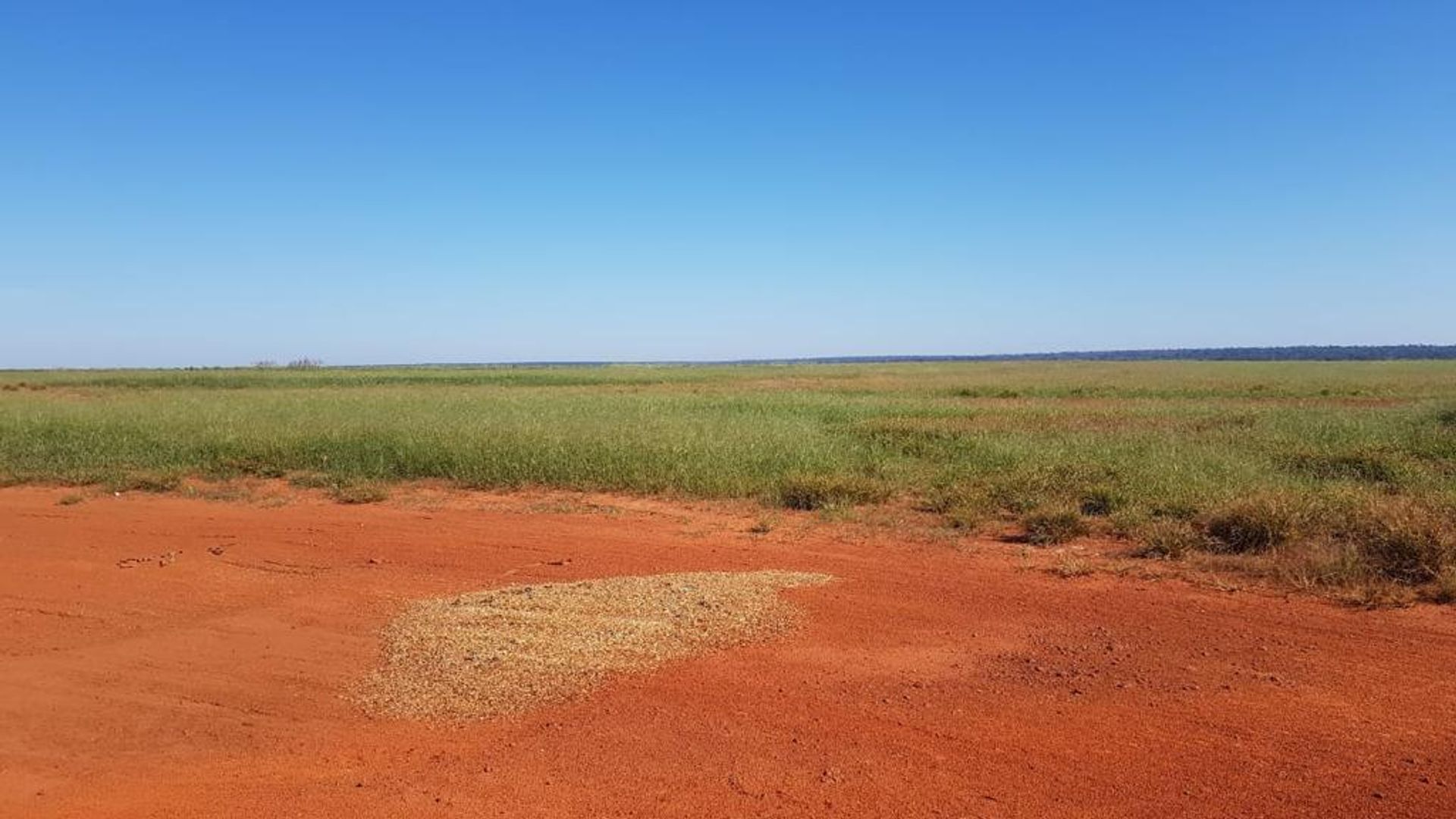 Autre dans Nova Ubirata, Mato Grosso 11937402