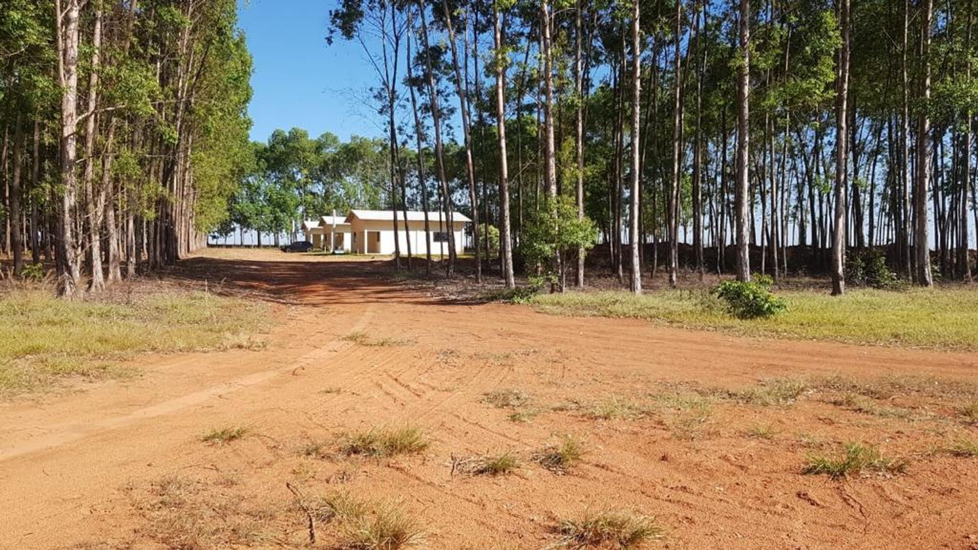 Andere in Nova Ubirata, Mato Grosso 11937402