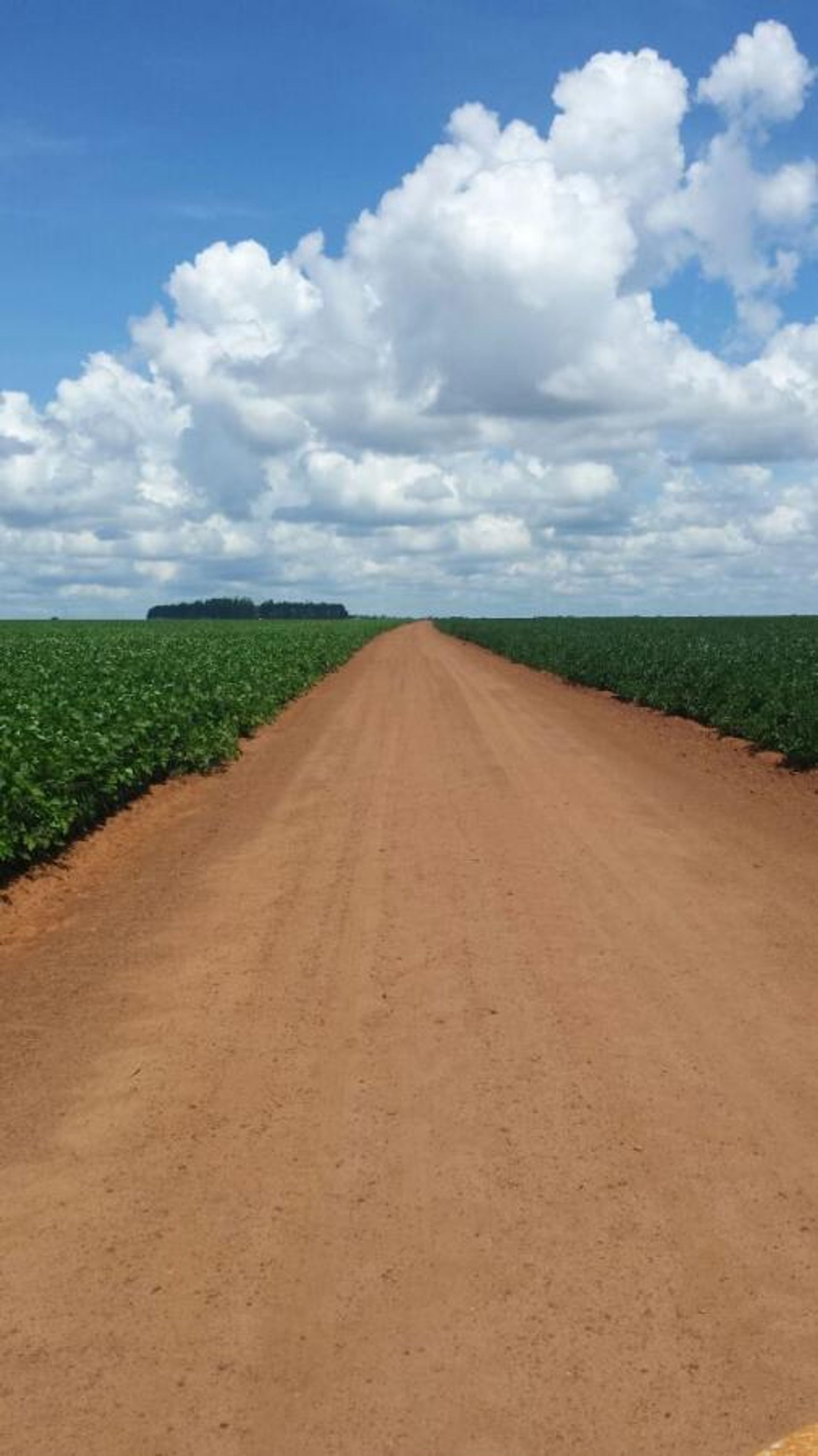 Autre dans Novo São Joaquim, Mato Grosso 11937403