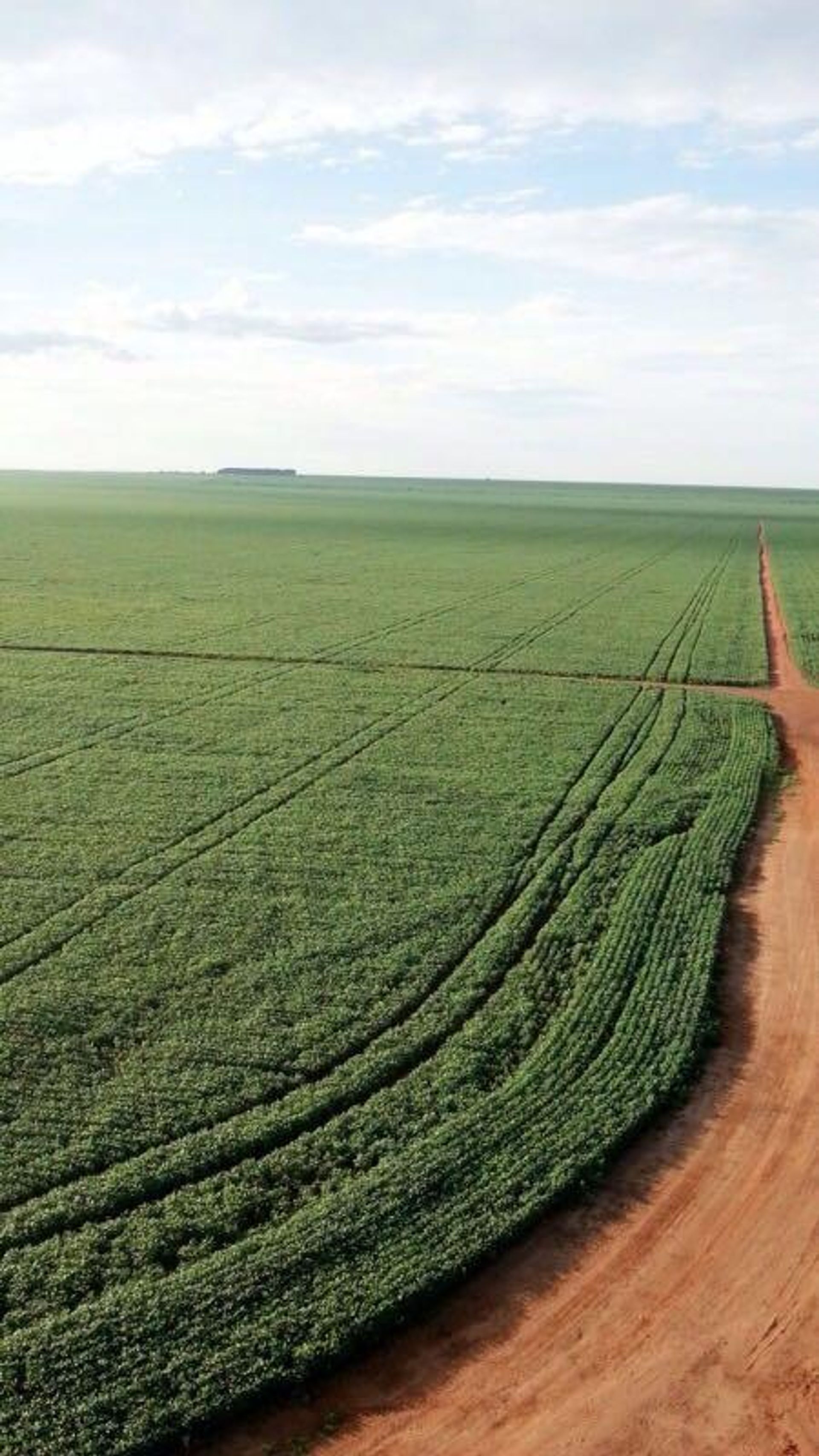 Annen i Novo São Joaquim, Mato Grosso 11937403