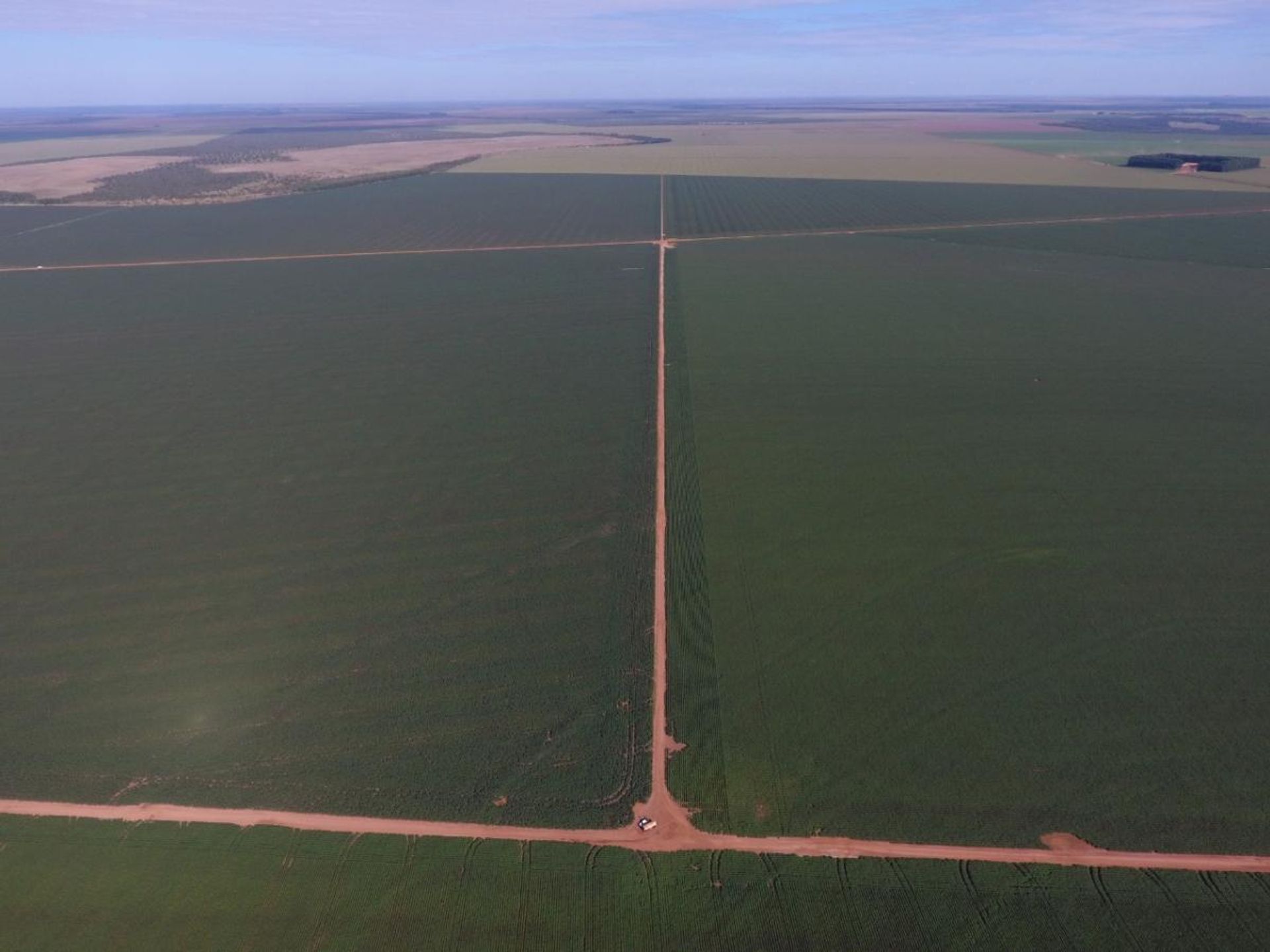 다른 에 Novo São Joaquim, Mato Grosso 11937403