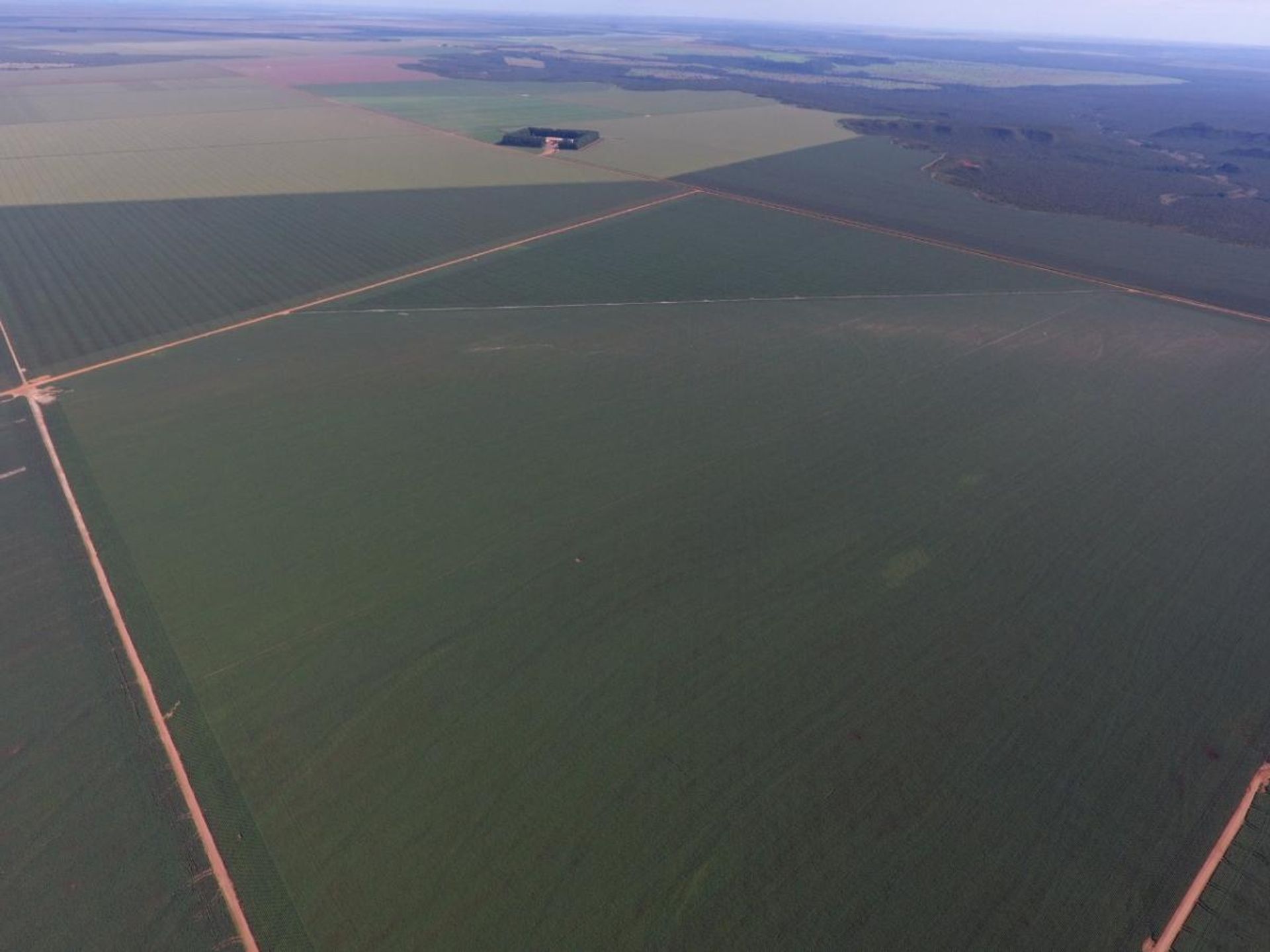 Annen i Novo São Joaquim, Mato Grosso 11937403