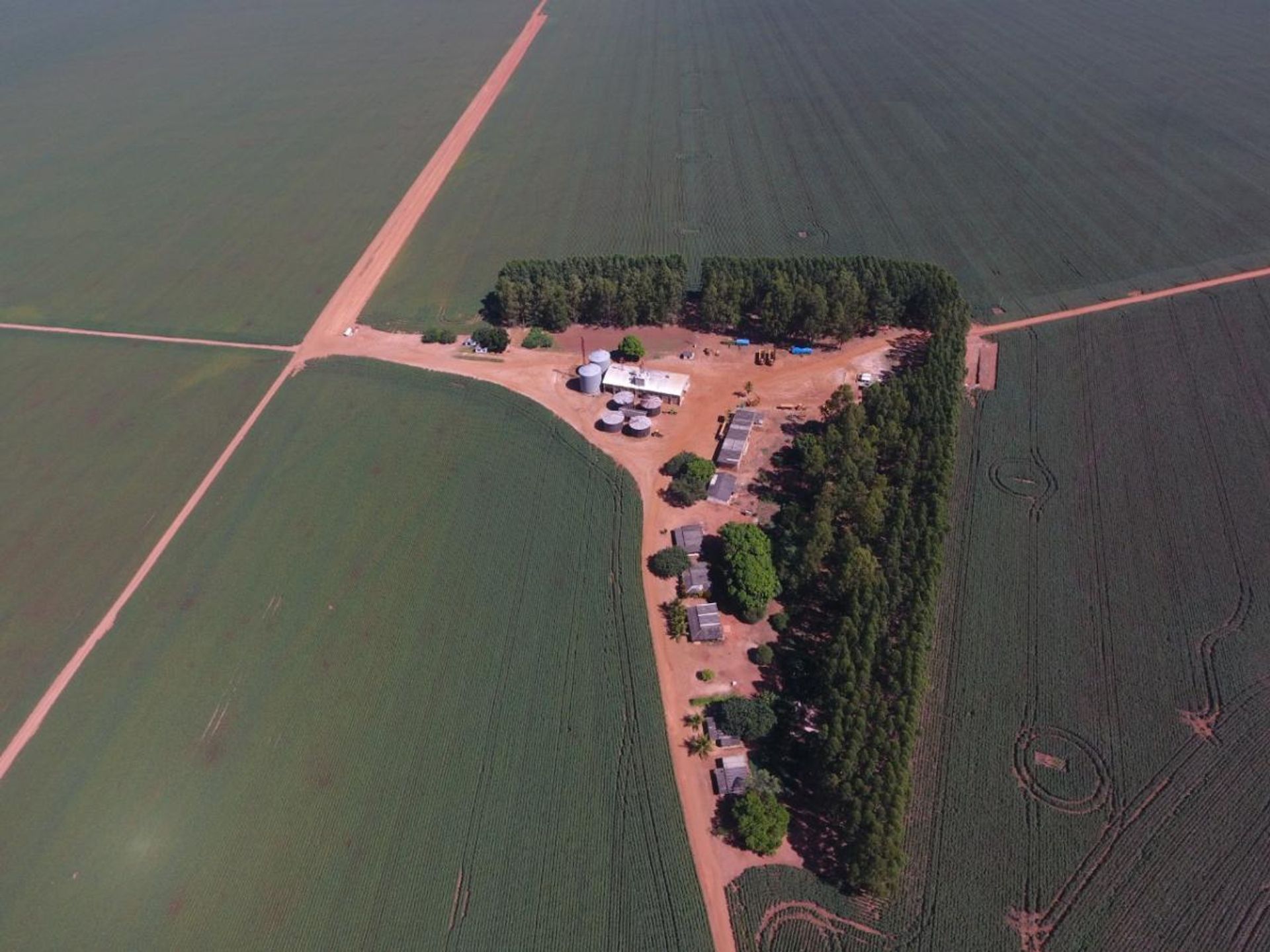 Autre dans Novo São Joaquim, Mato Grosso 11937403