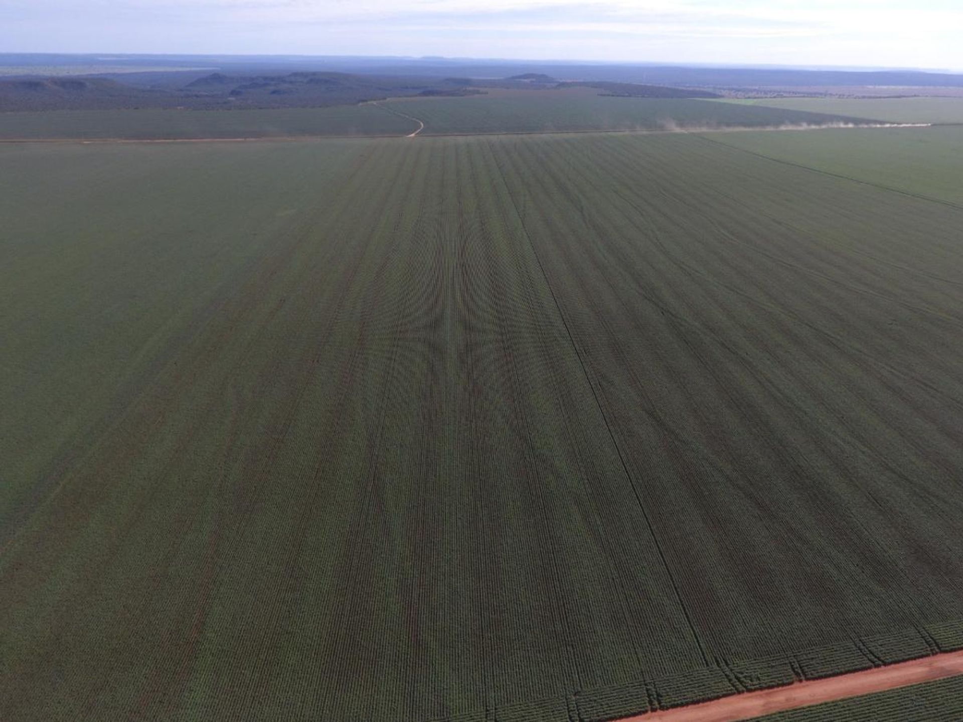 Autre dans Novo São Joaquim, Mato Grosso 11937403