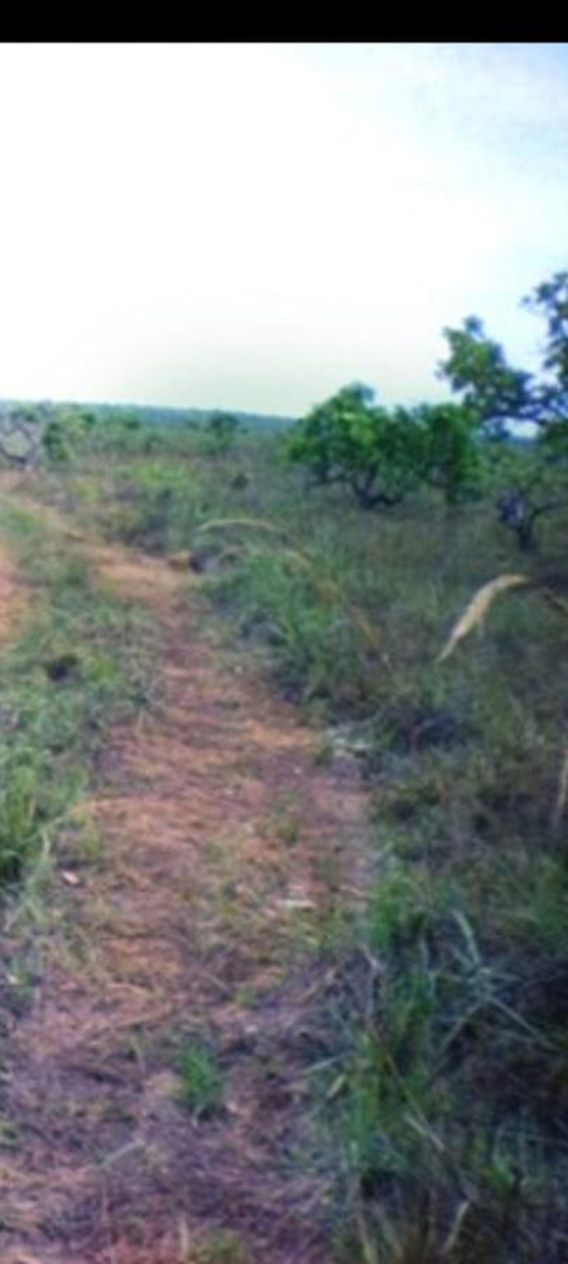 Autre dans Chapada dos Guimaraes, Mato Grosso 11937404