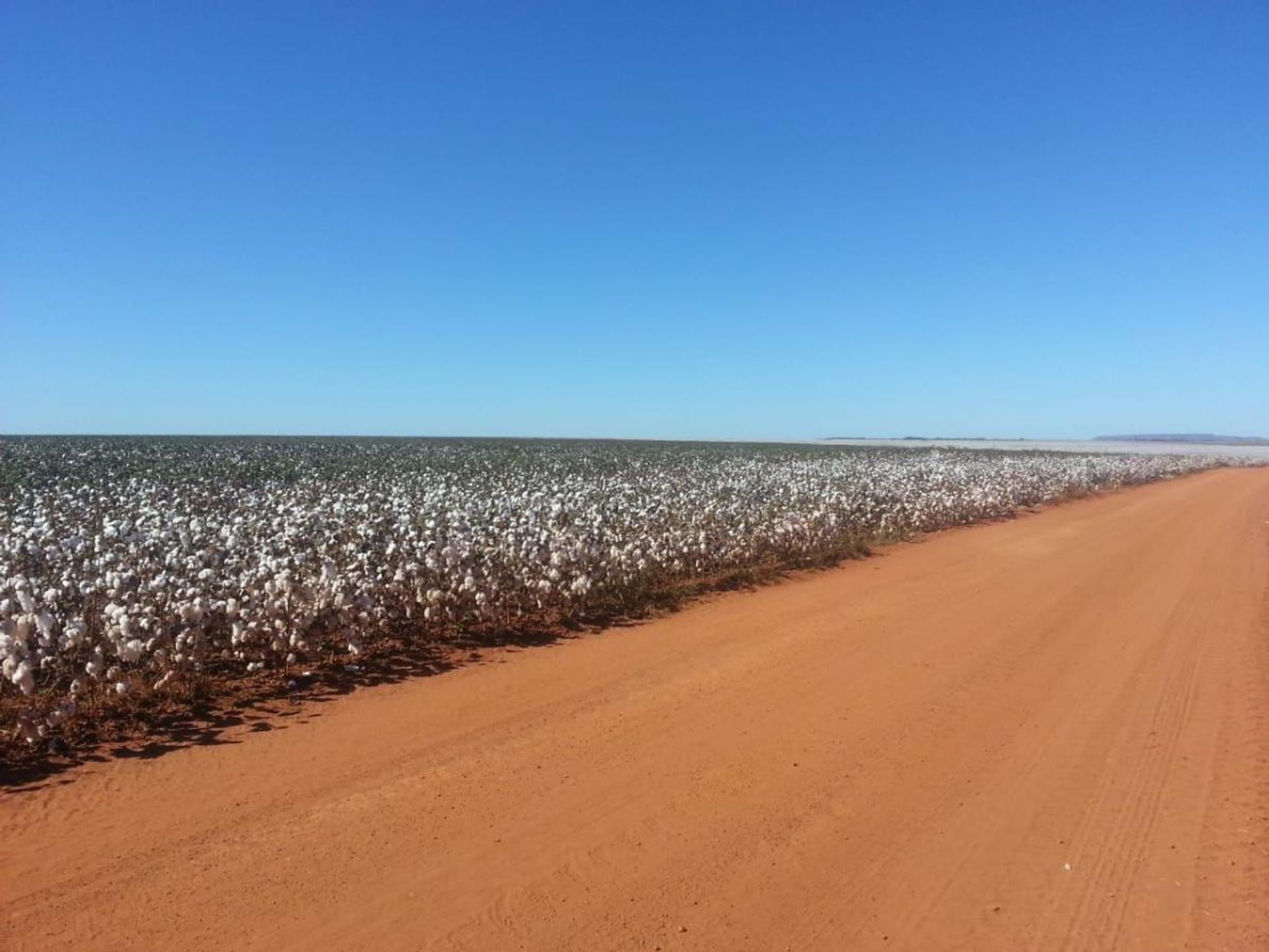 Inny w Colonia Merure, Mato Grosso 11937417