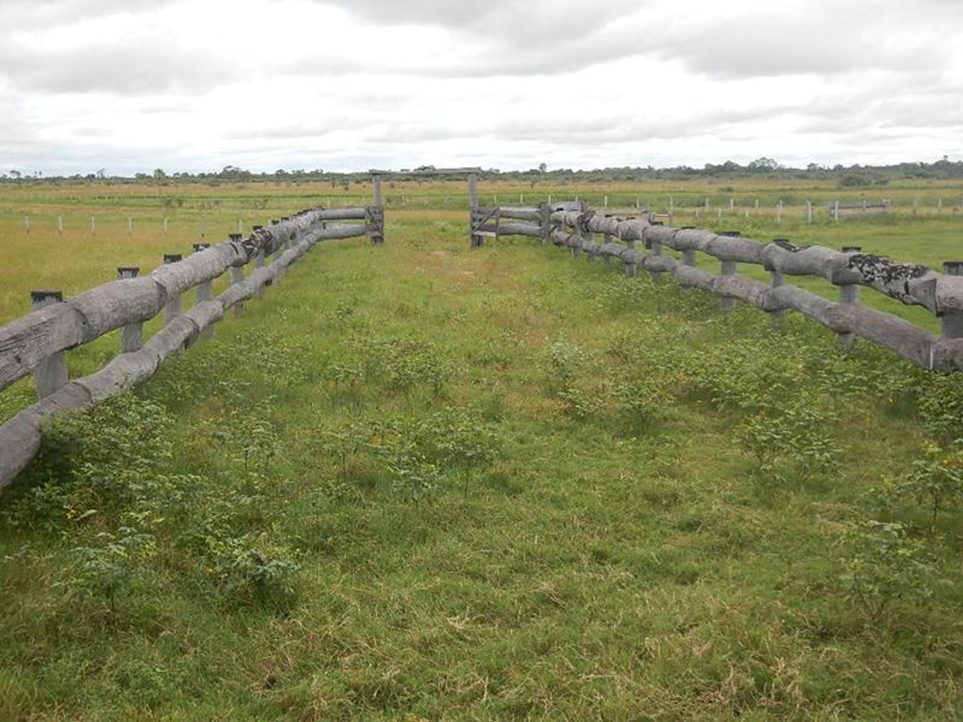 Інший в , State of Mato Grosso 11937574