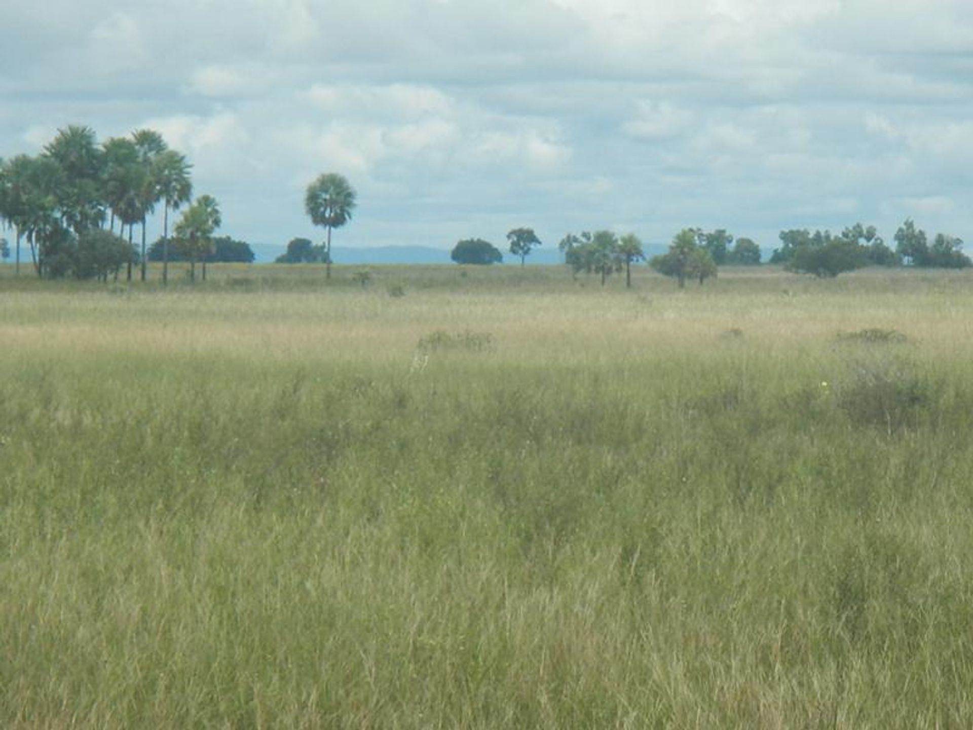 其他 在 , State of Mato Grosso 11937574