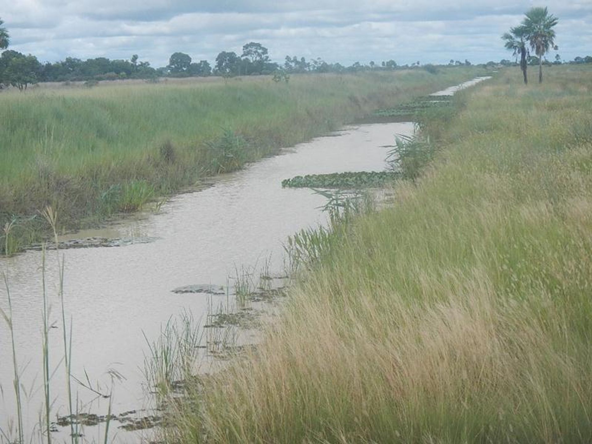 Autre dans Caceres, Mato Grosso 11937574