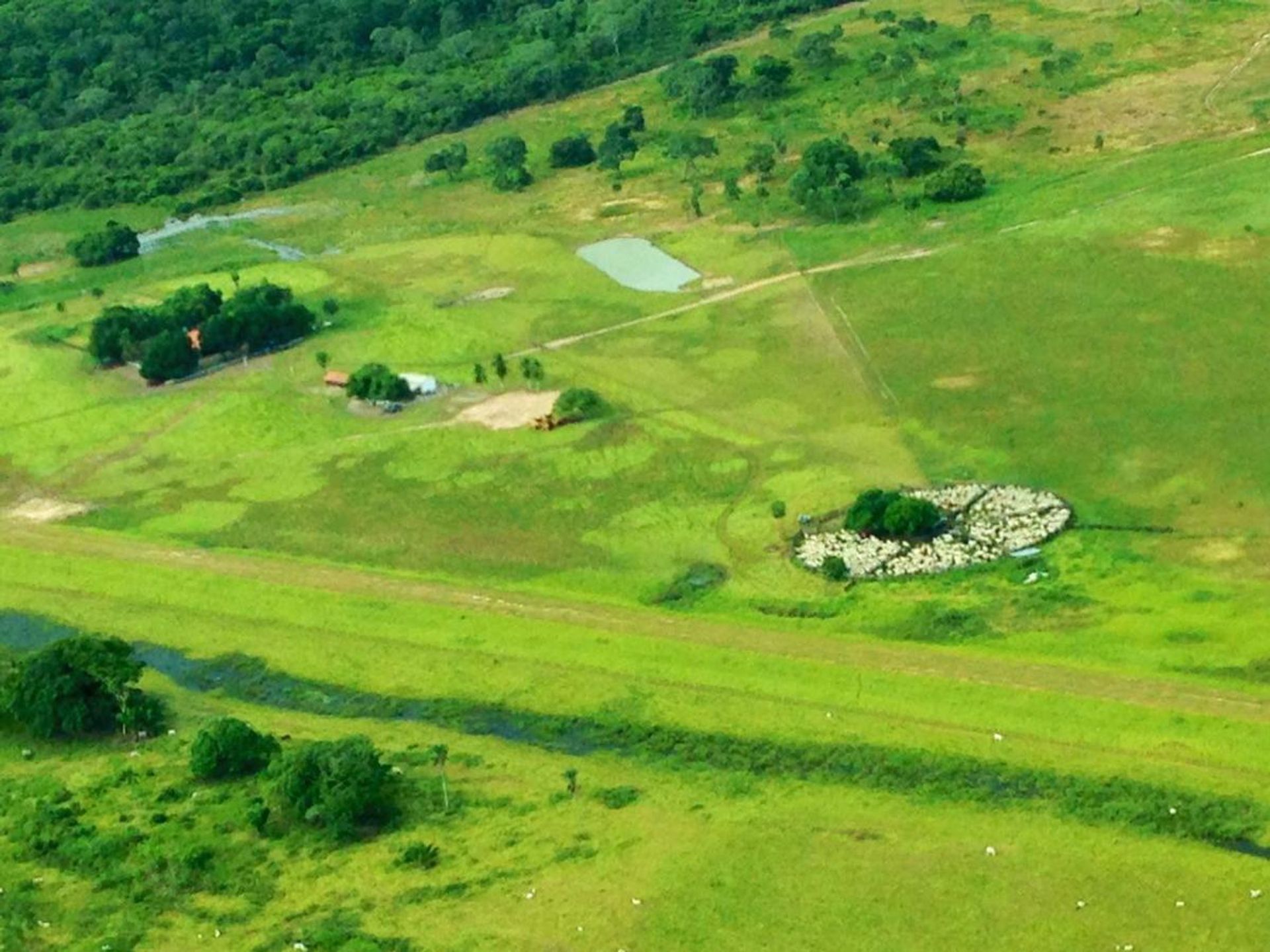 其他 在 Caceres, Mato Grosso 11945631