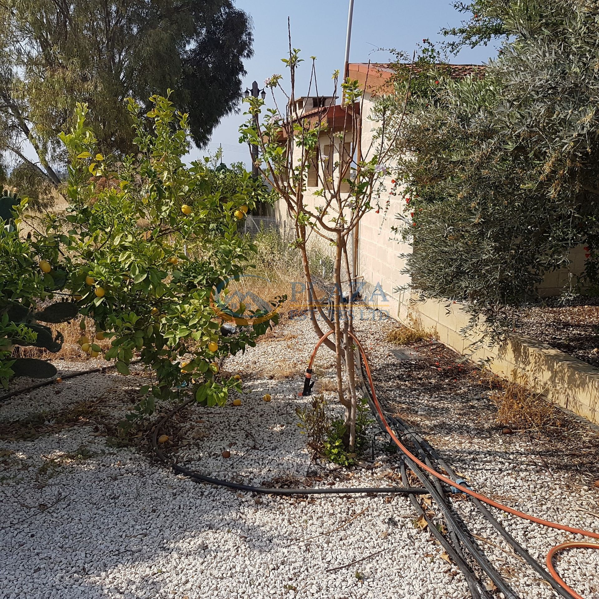 Rumah di Agios Theodoros, Larnaca 11946100