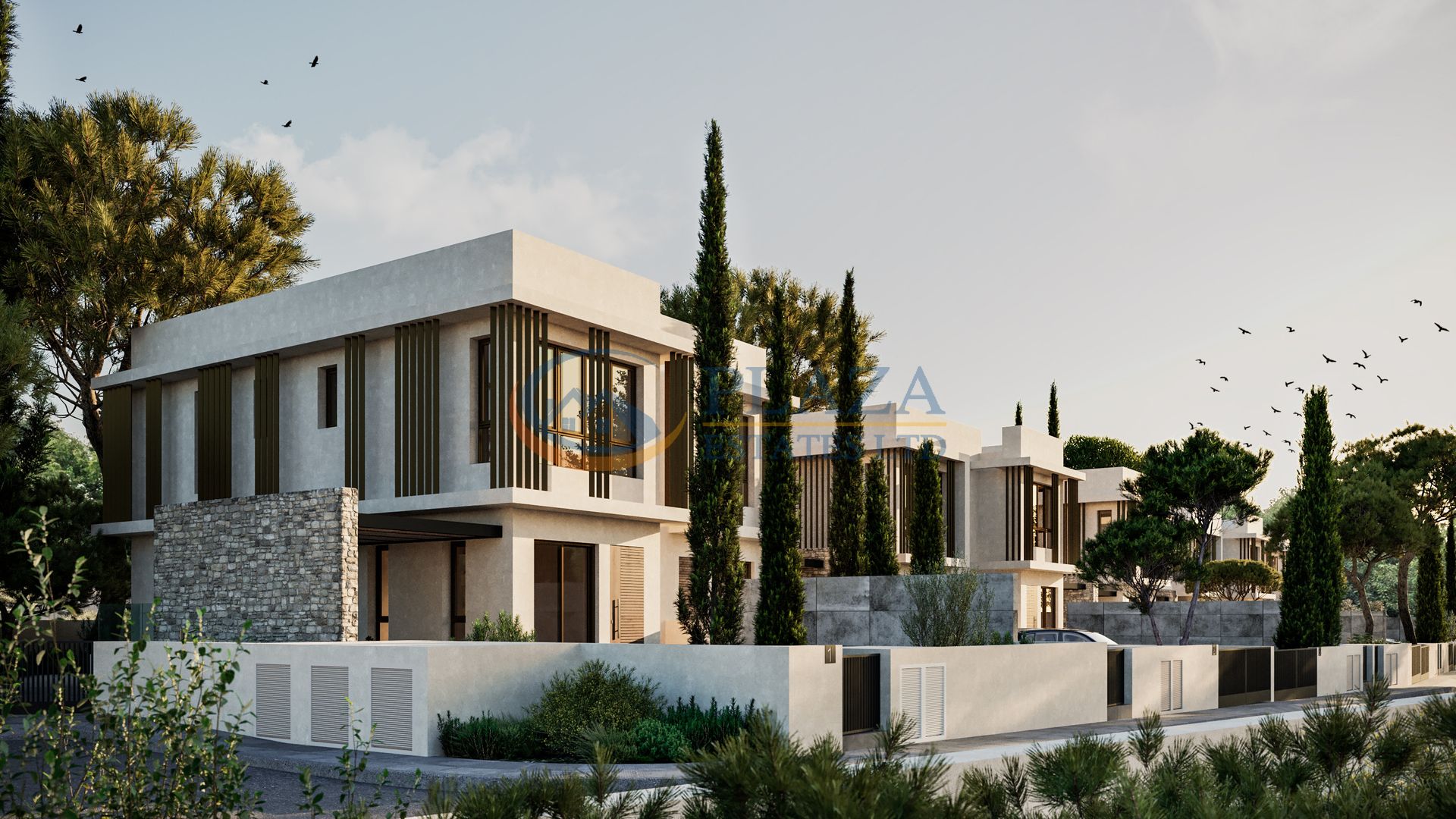 Hus i Paralimni, Ammochostos 11948886