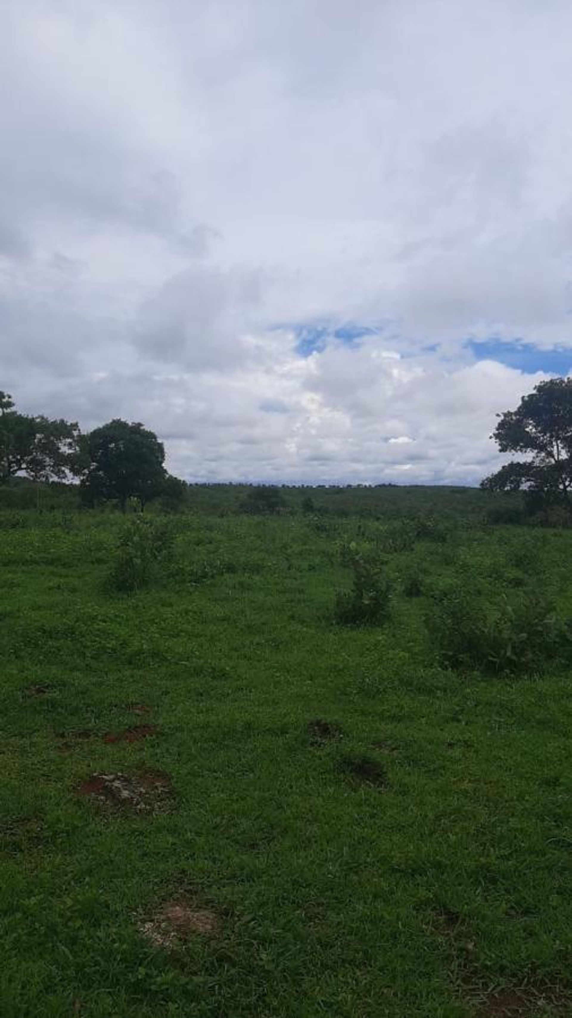 Otro en Colonia Merure, Mato Grosso 11951028