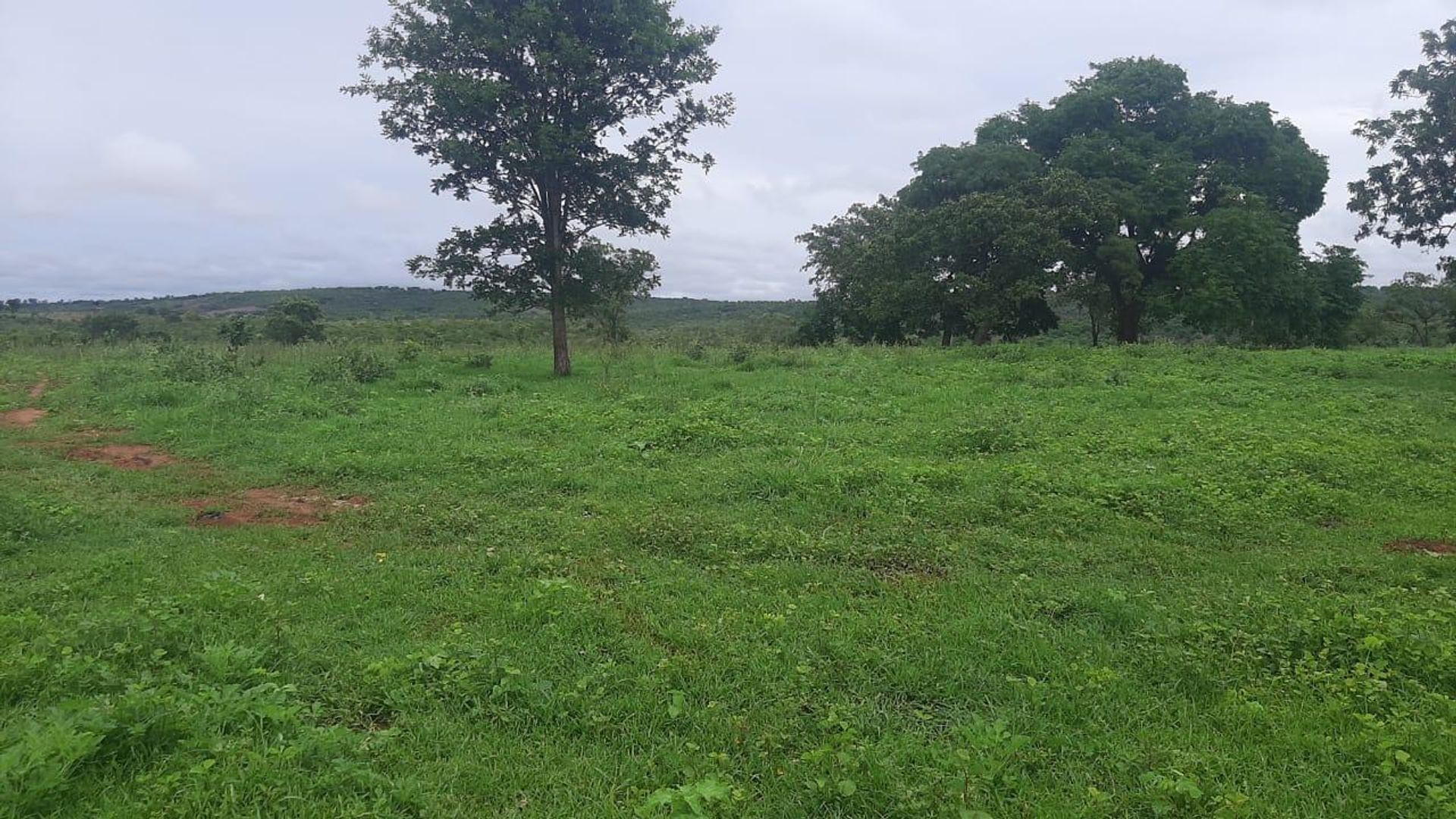 Autre dans Colonia Merure, Mato Grosso 11951028