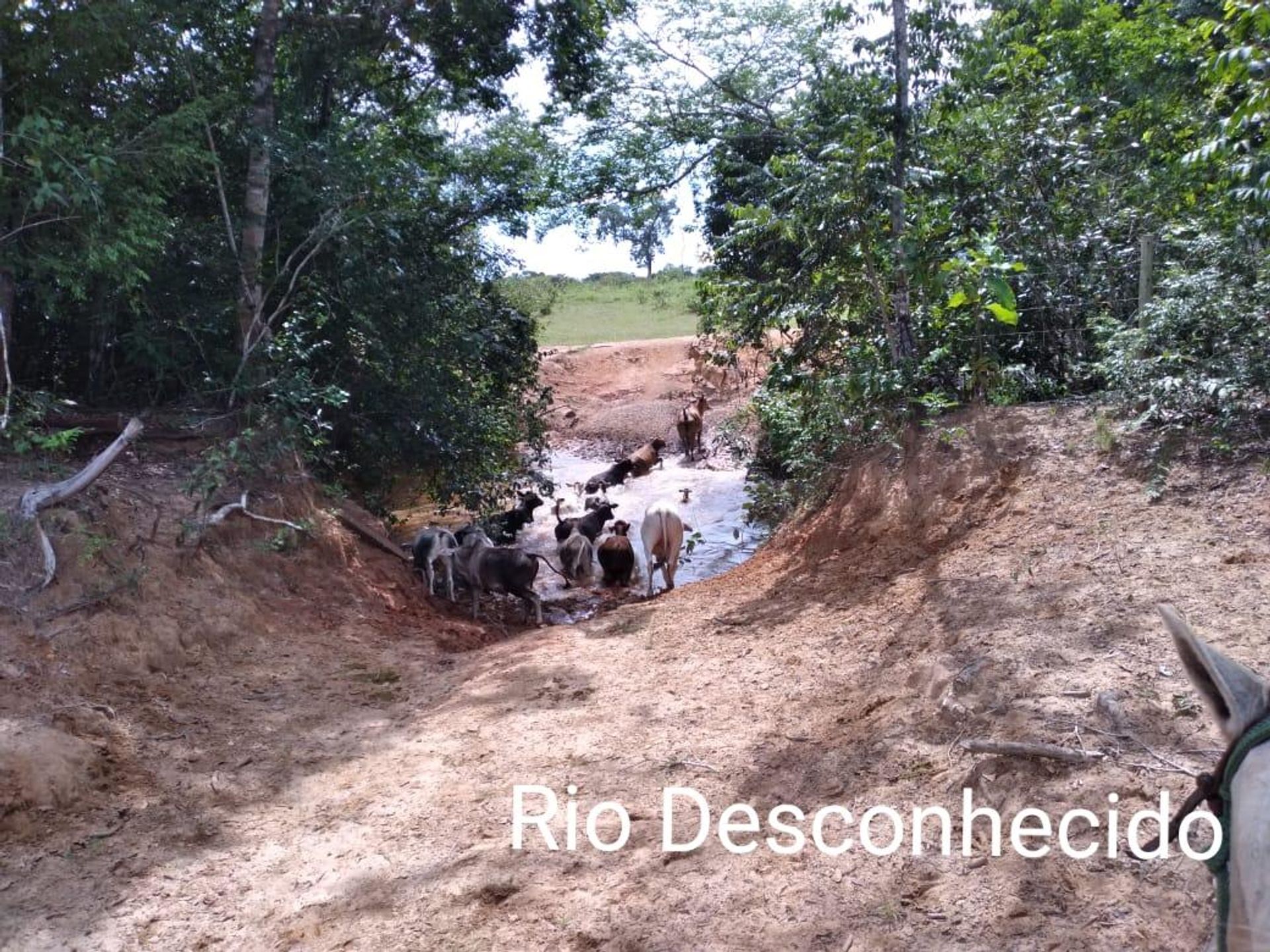 其他 在 Barra do Garcas, Mato Grosso 11952843