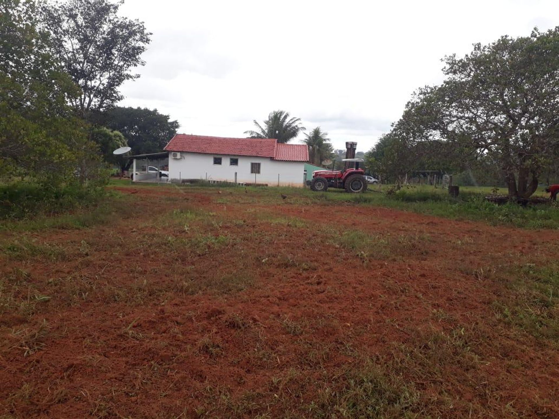 آخر في Barra do Garças, State of Mato Grosso 11952843