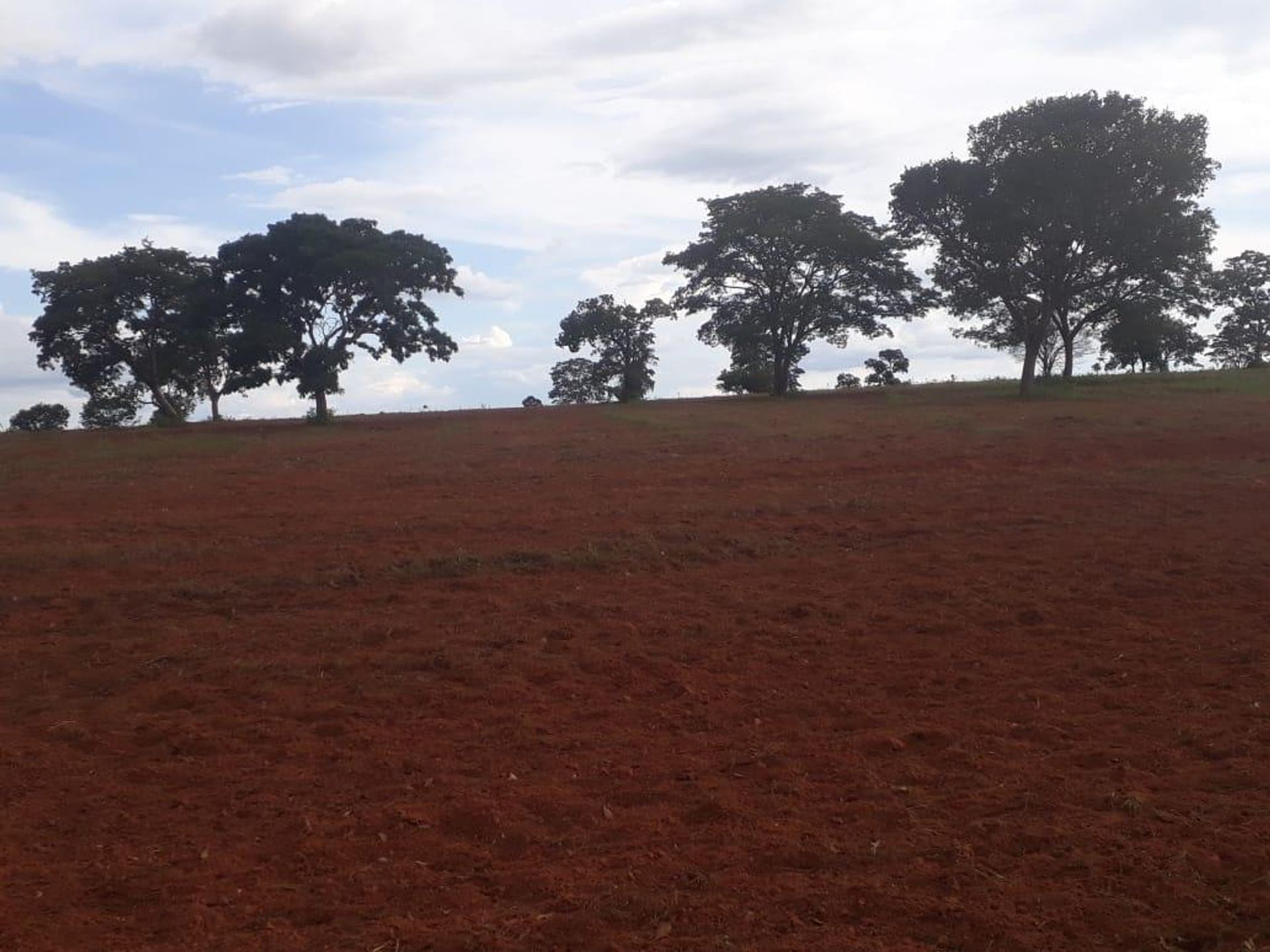 其他 在 Barra do Garças, State of Mato Grosso 11952843