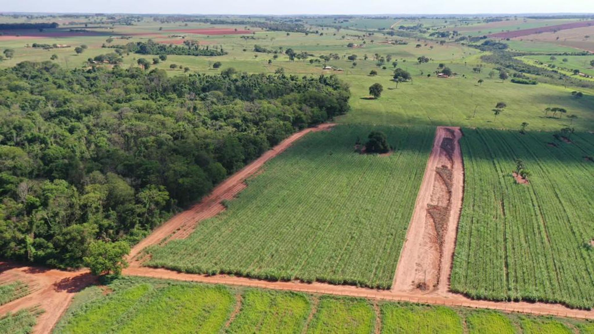 Altro nel Sao Jose do Rio Preto, San Paolo 11953211