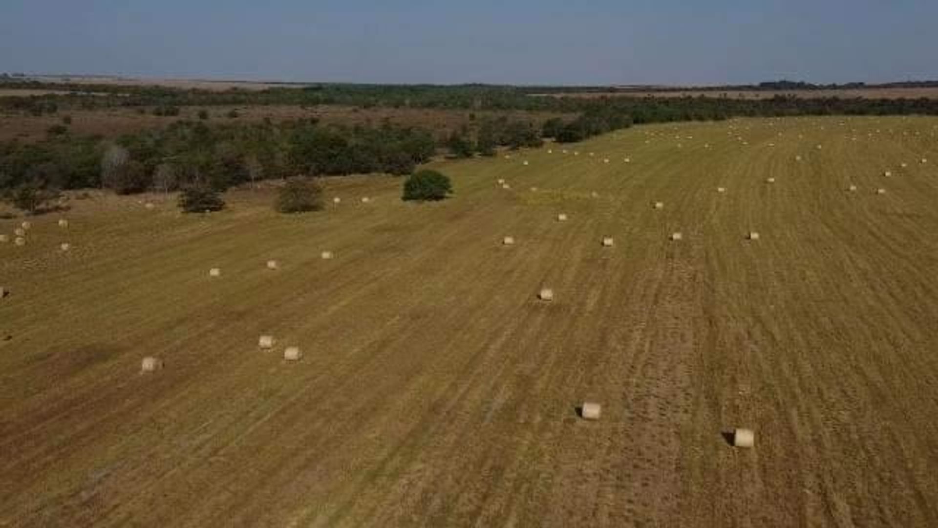 Autre dans Canarana, Mato Grosso 11953212