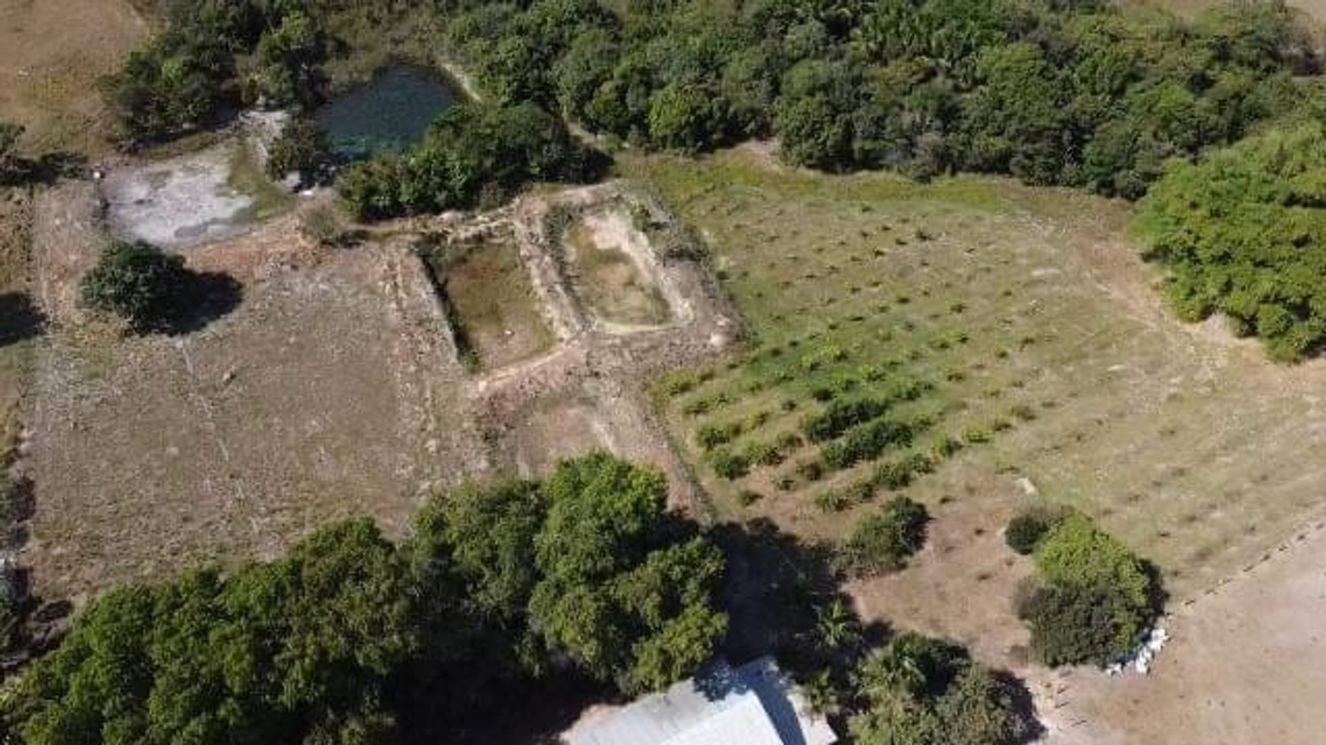 Altro nel Canarana, Mato Grosso 11953212