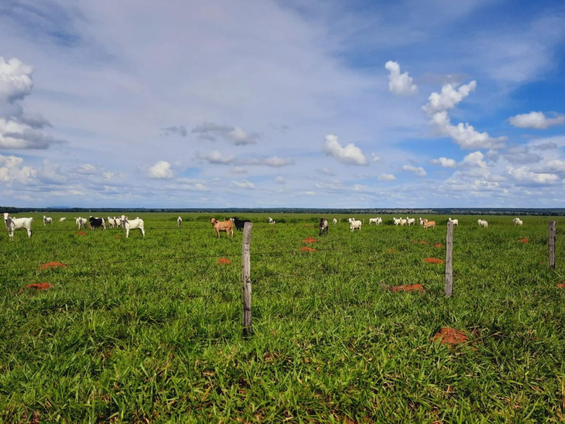 Другой в Araguaiana, Mato Grosso 11953213