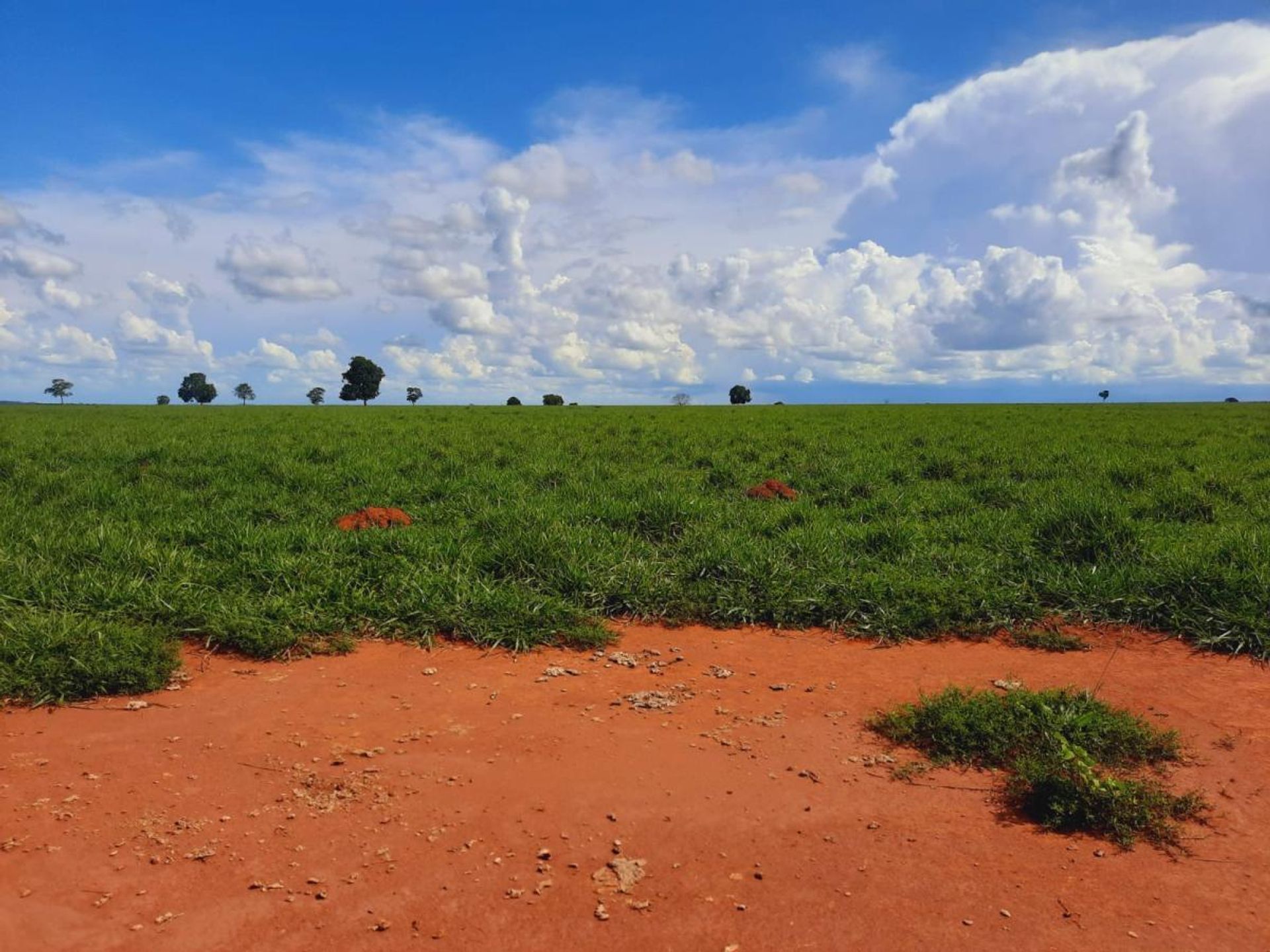 Annen i , State of Mato Grosso 11953213