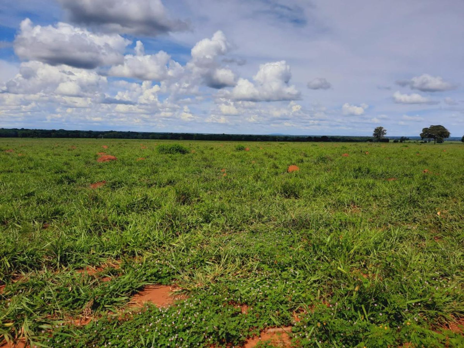 Annen i , State of Mato Grosso 11953213