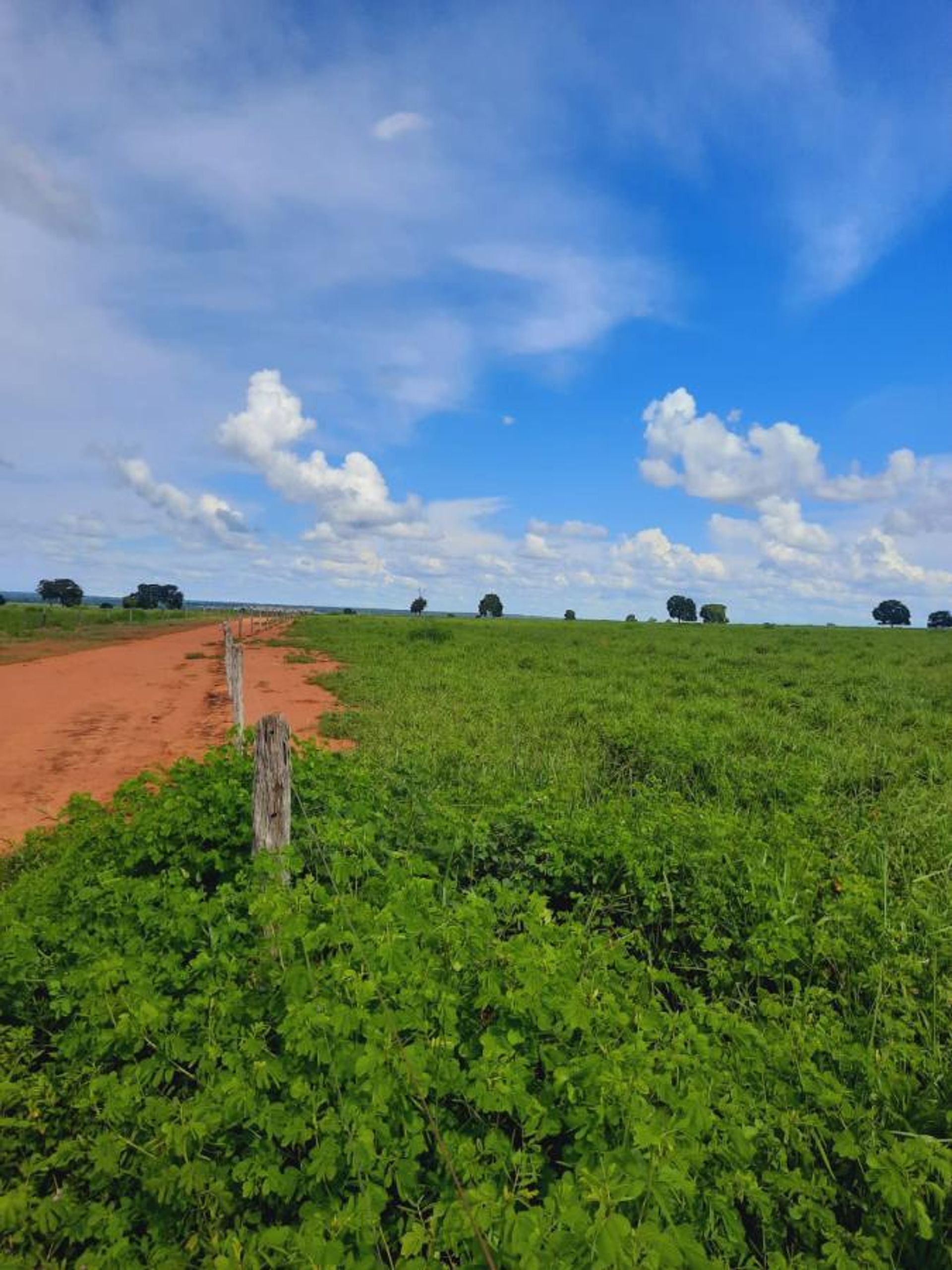 Annen i , State of Mato Grosso 11953213