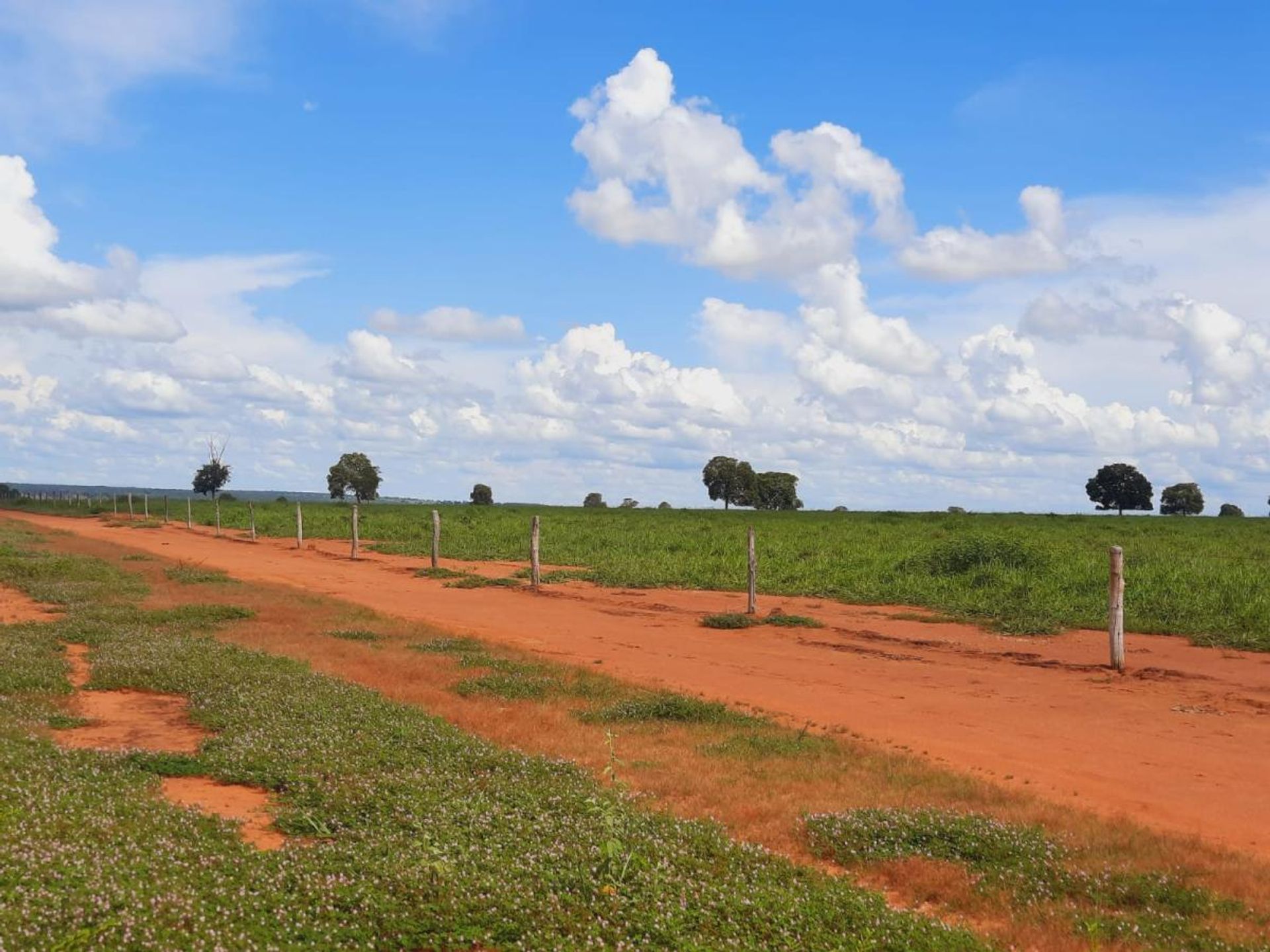 Annen i , State of Mato Grosso 11953213