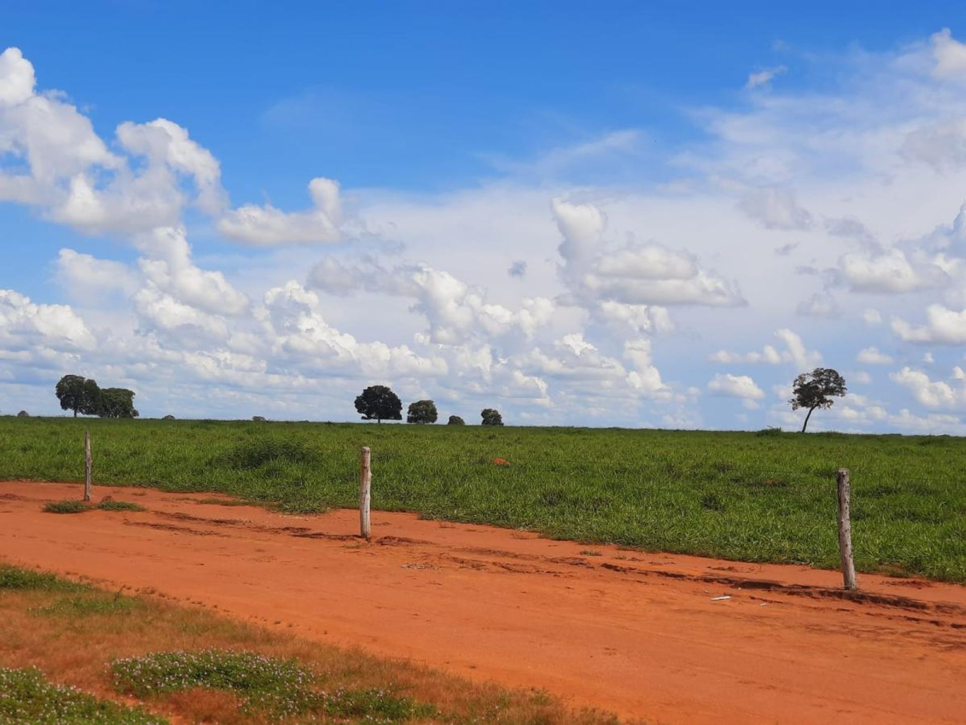 Annen i , State of Mato Grosso 11953213