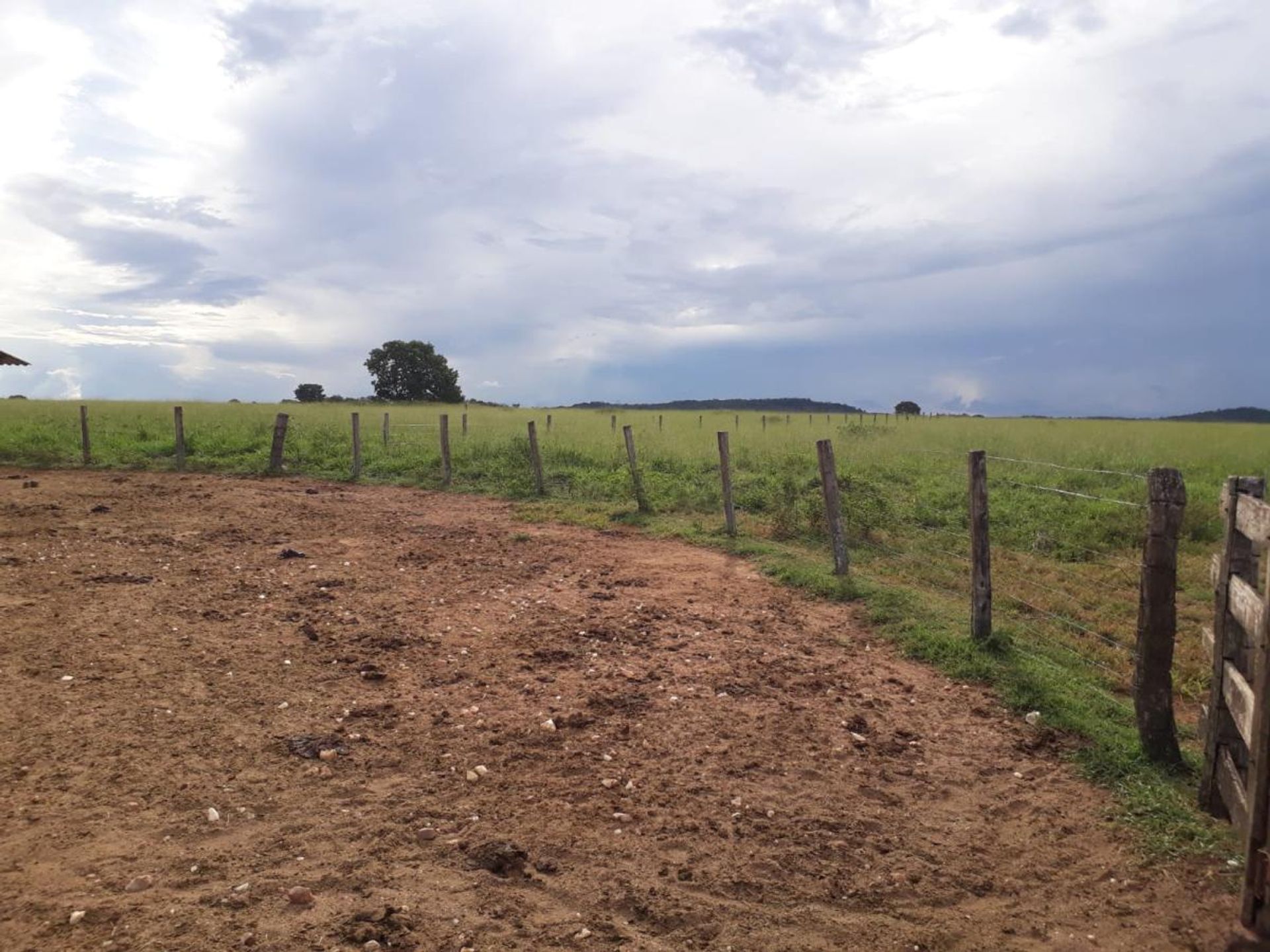 Altro nel Araguaiana, Mato Grosso 11953213