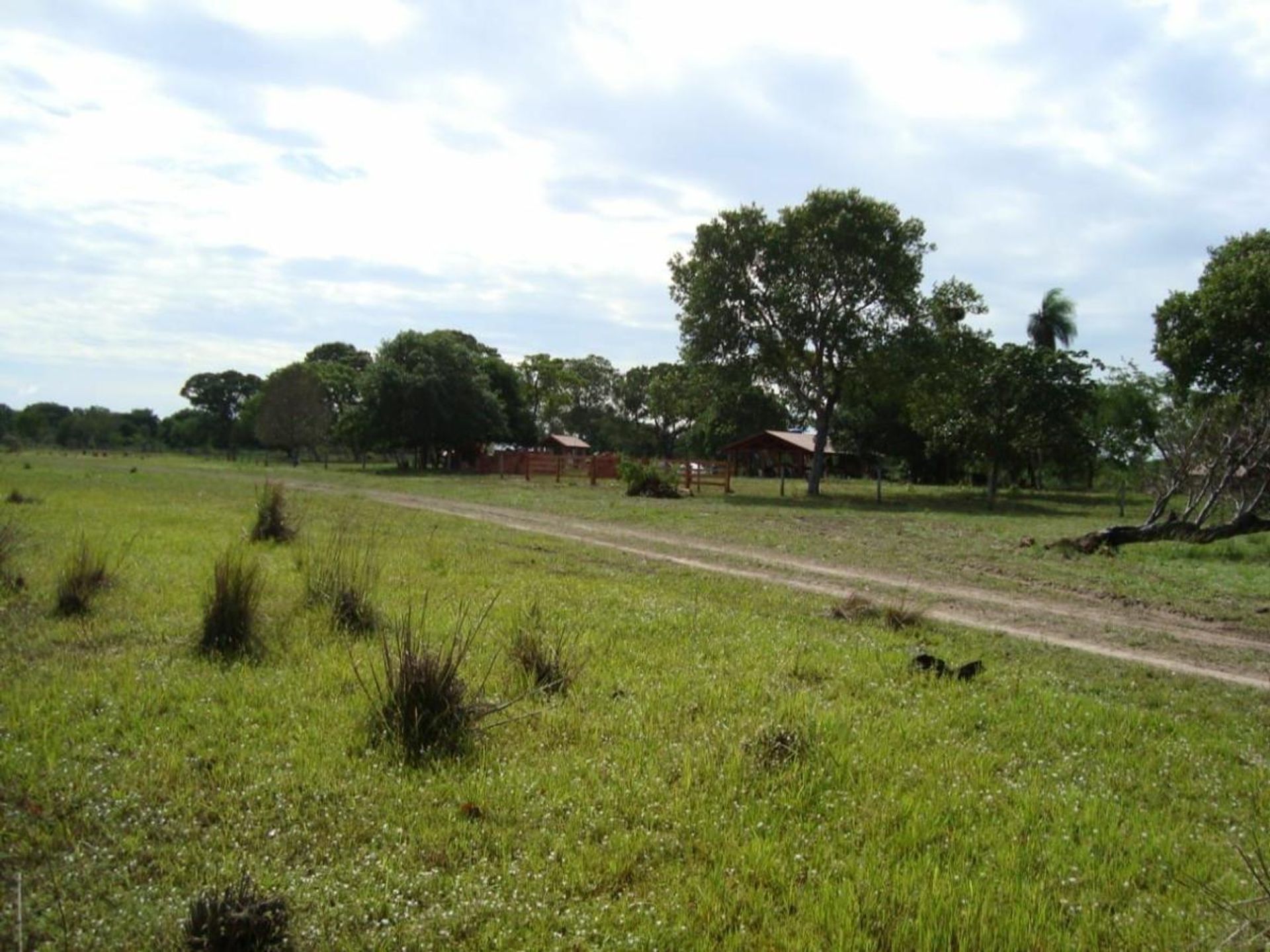 Muu sisään Corumba, Mato Grosso do Sul 11953214