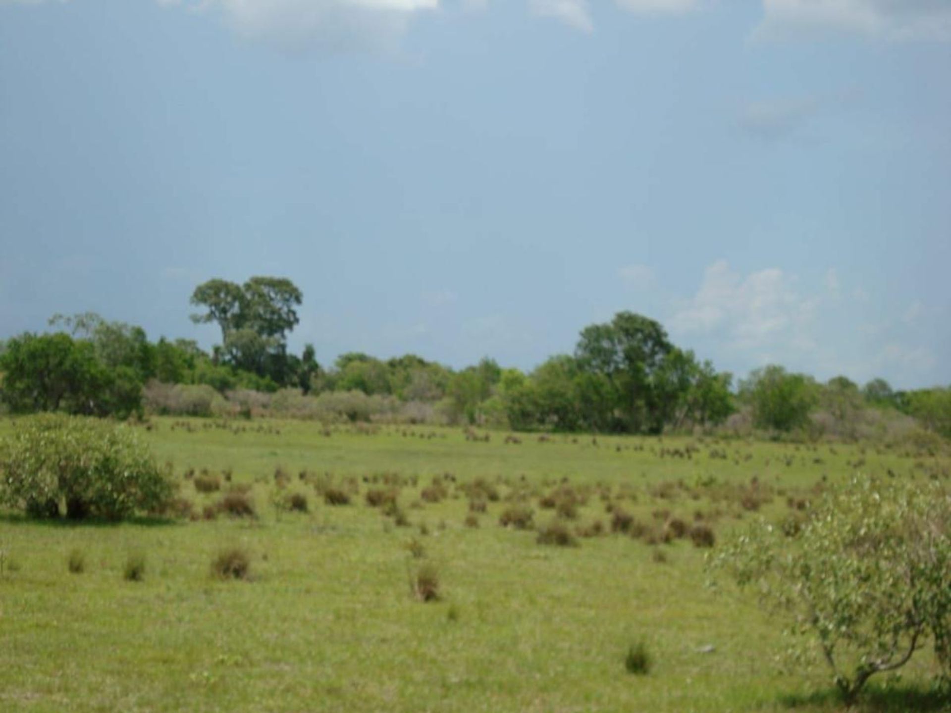 Другой в Corumbá, State of Mato Grosso do Sul 11953214