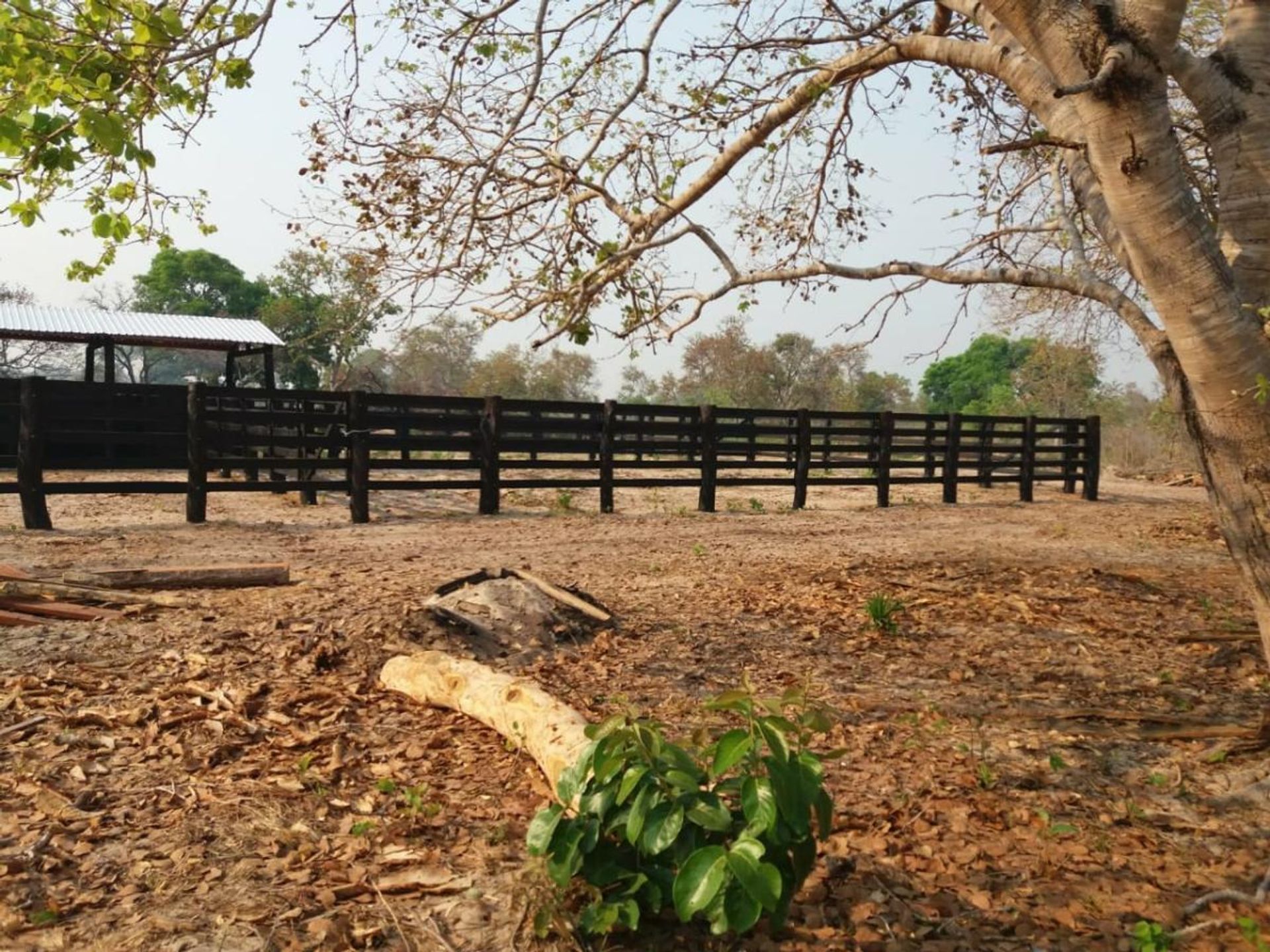 Другой в Corumbá, State of Mato Grosso do Sul 11953214