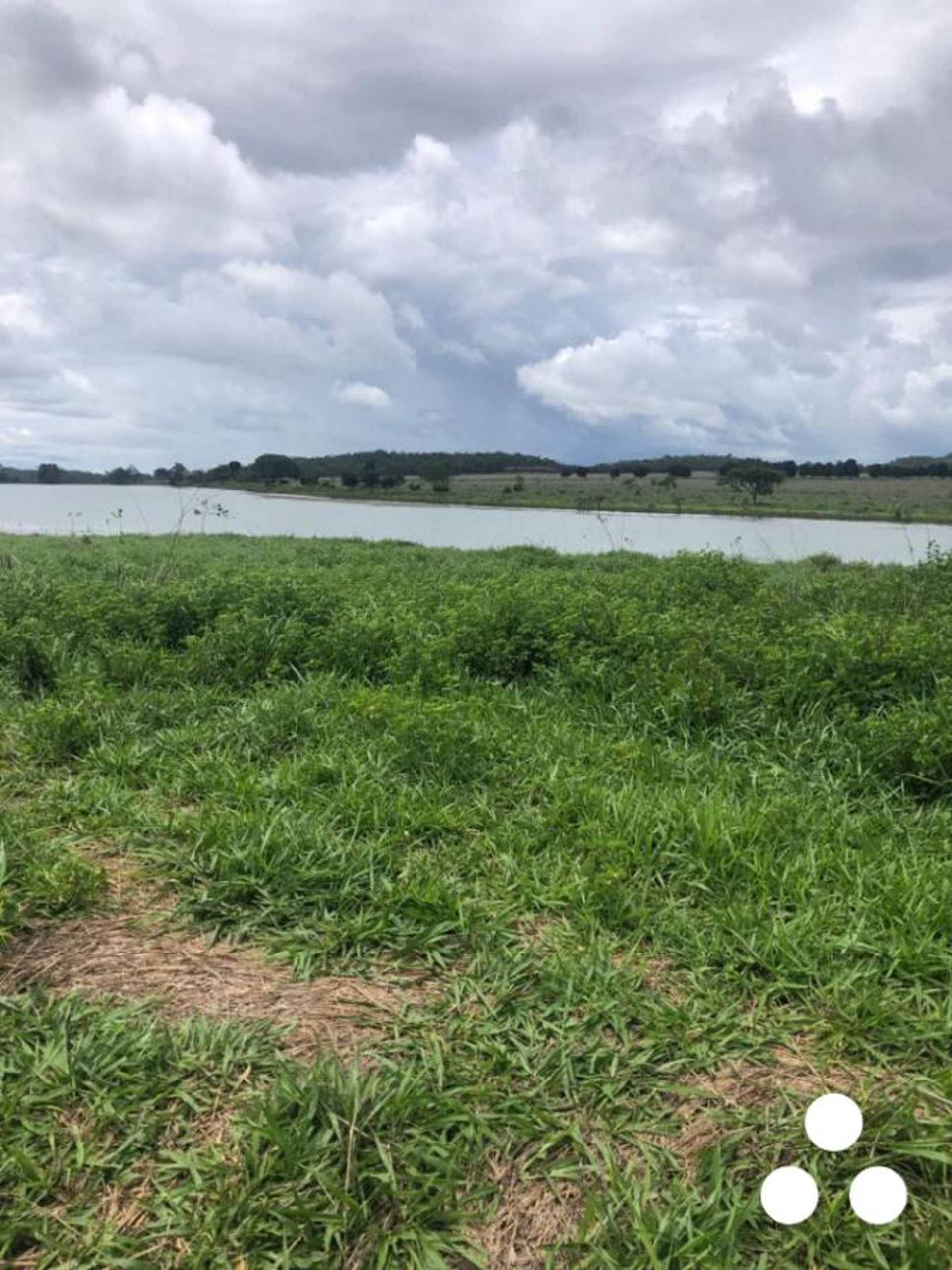 Autre dans Barra do Garcas, Mato Grosso 11953215