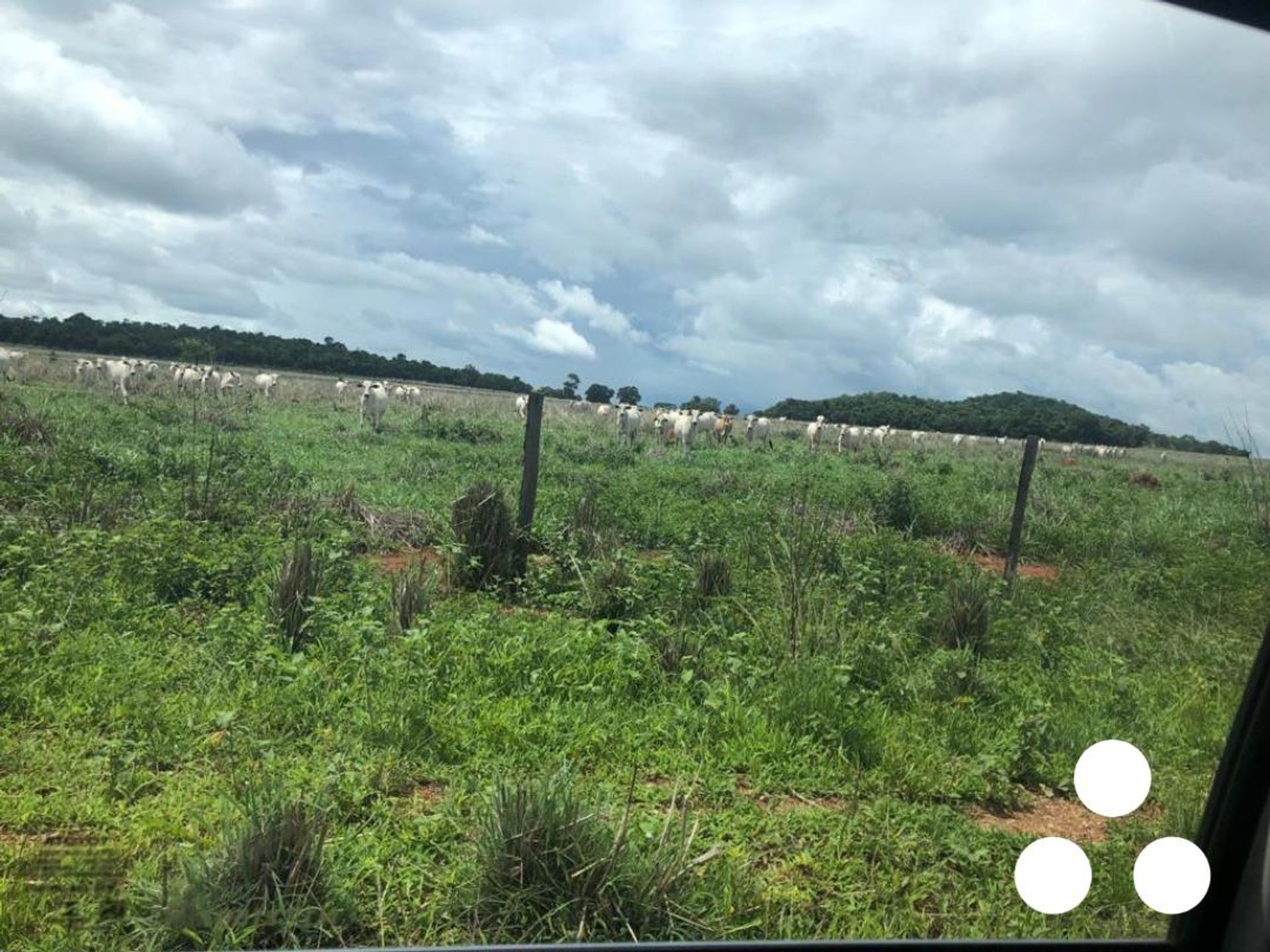 其他 在 Barra do Garcas, Mato Grosso 11953215