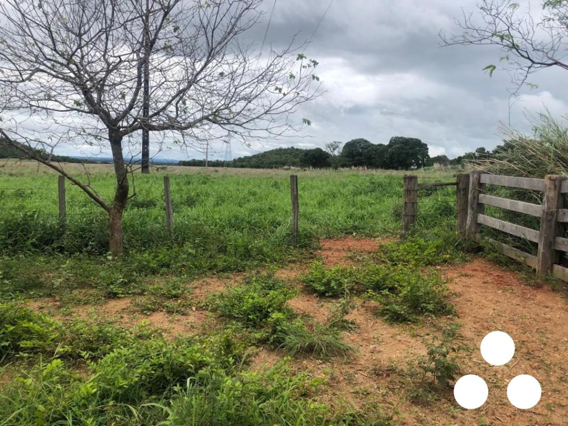 其他 在 Barra do Garças, State of Mato Grosso 11953215