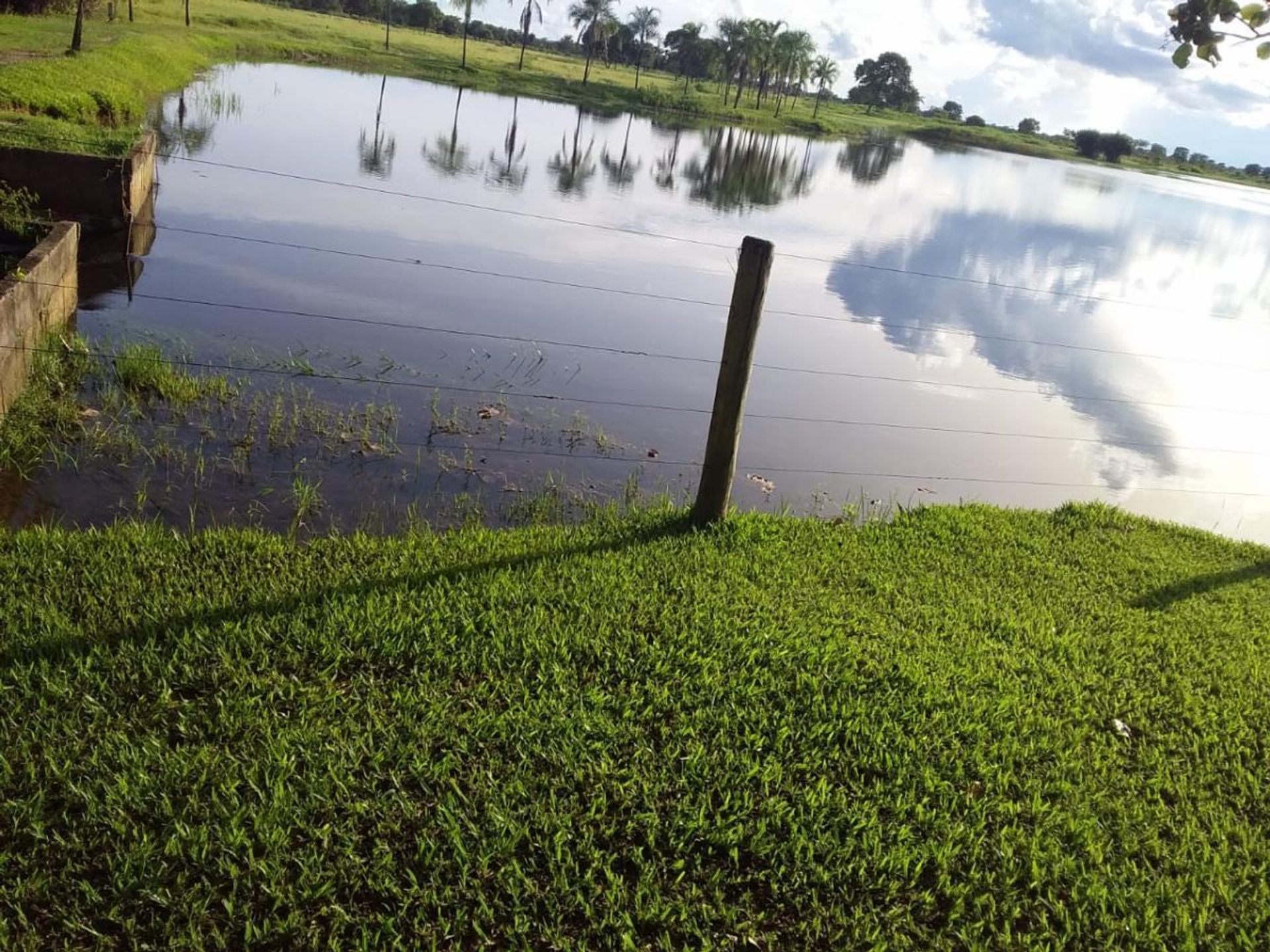 Altro nel Cocalinho, Mato Grosso 11953221