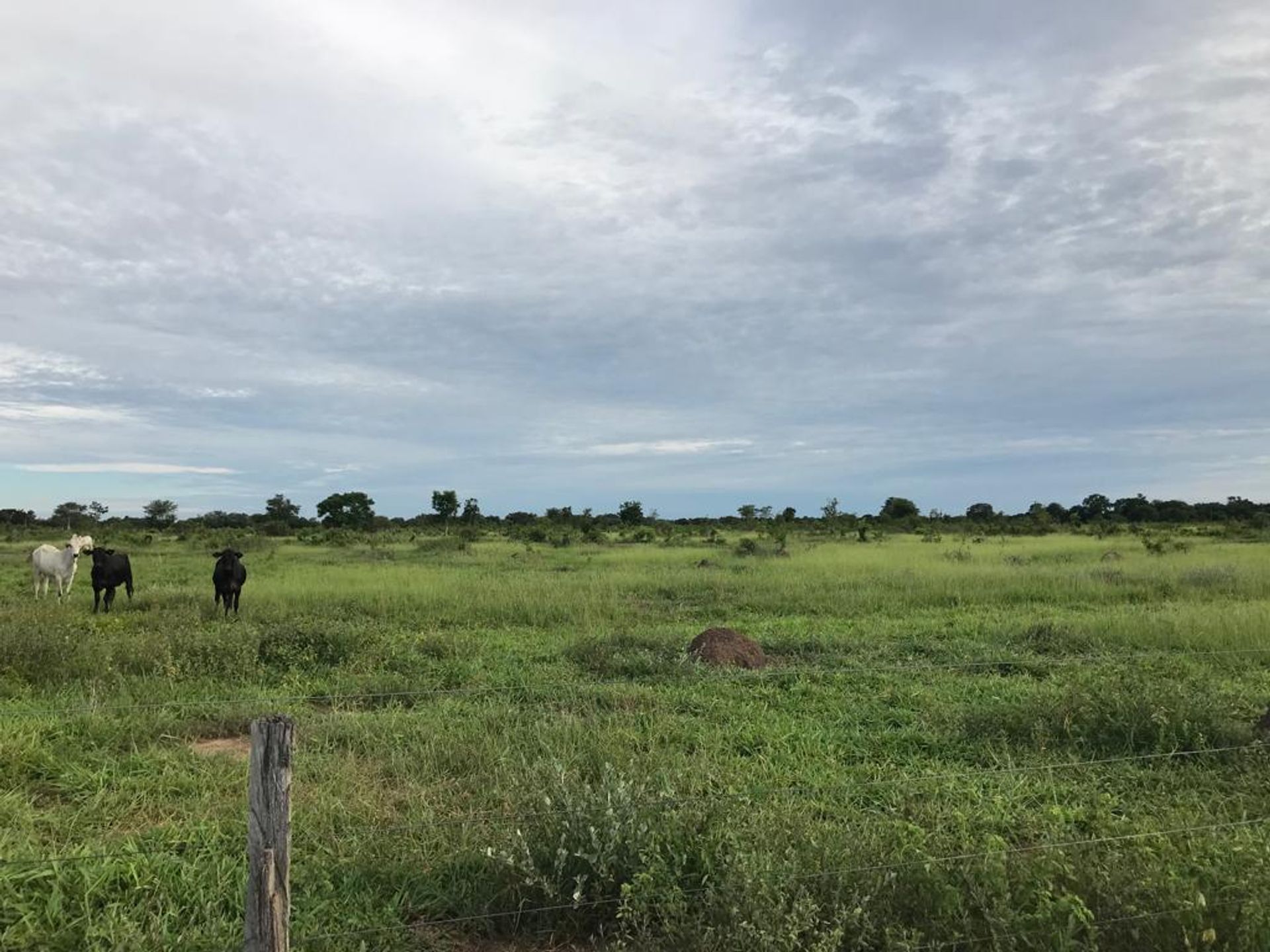 다른 에 Cocalinho, Mato Grosso 11953221