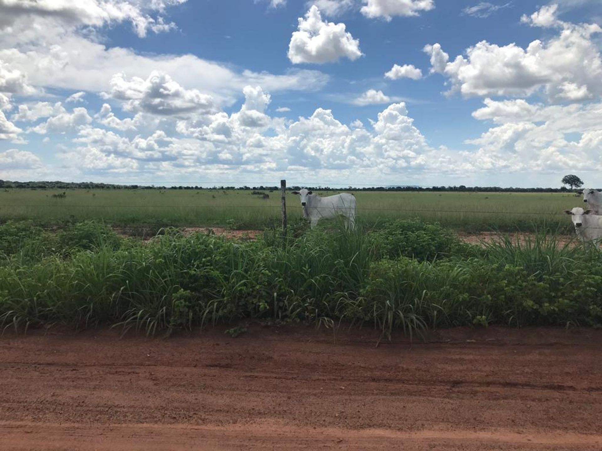 Otro en Cocalinho, Mato Grosso 11953221