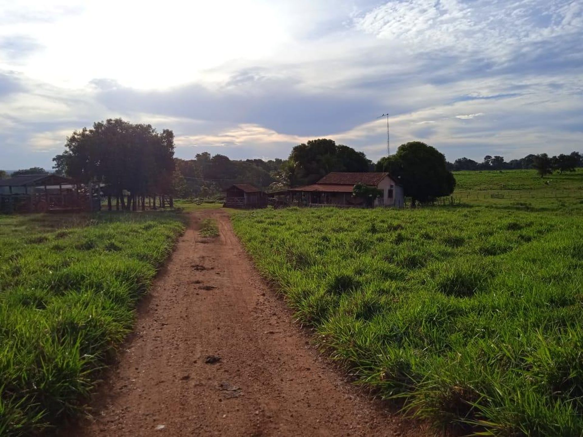 Altro nel Araguaiana, Mato Grosso 11953222