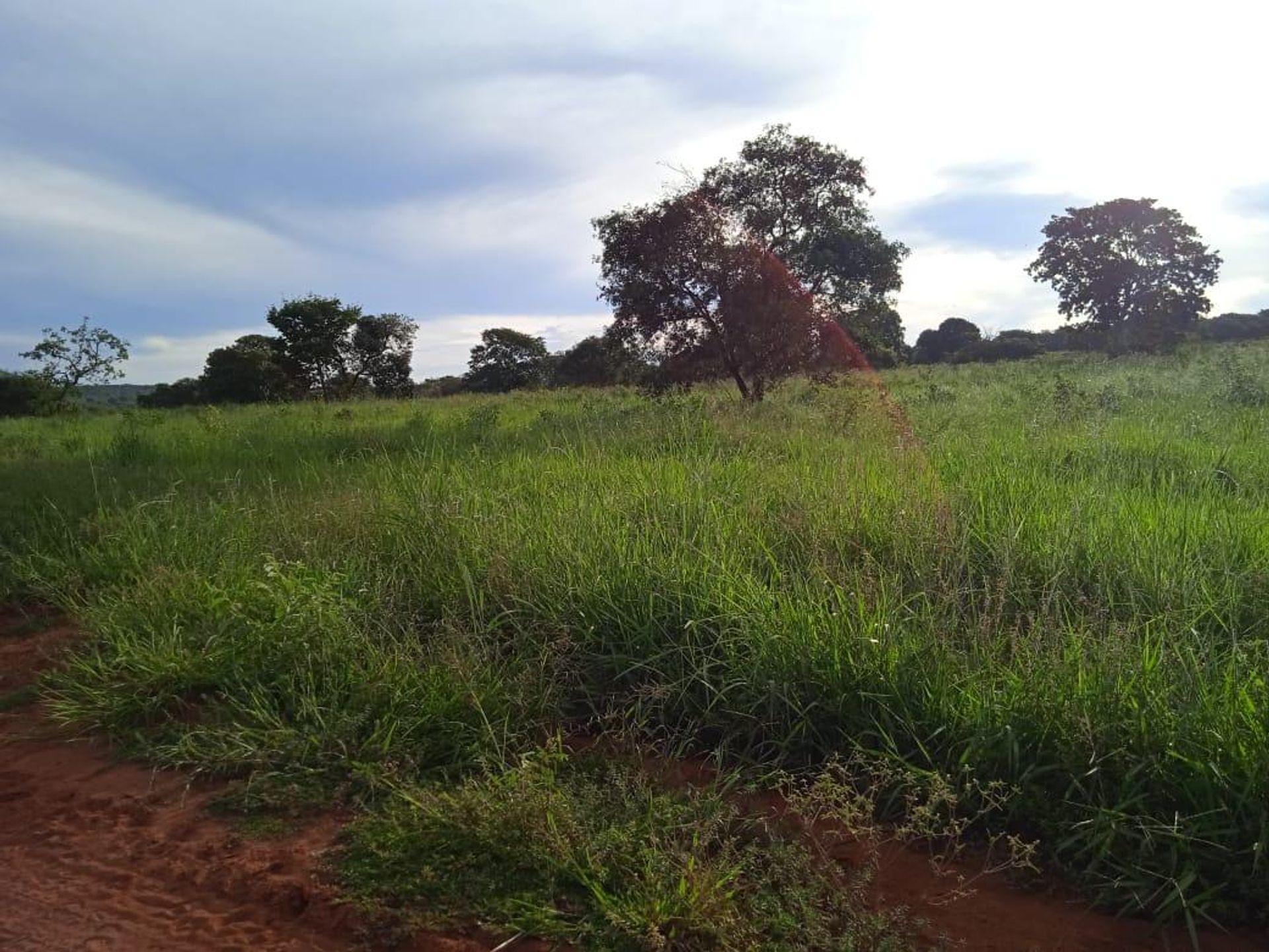 Autre dans , State of Goiás 11953222