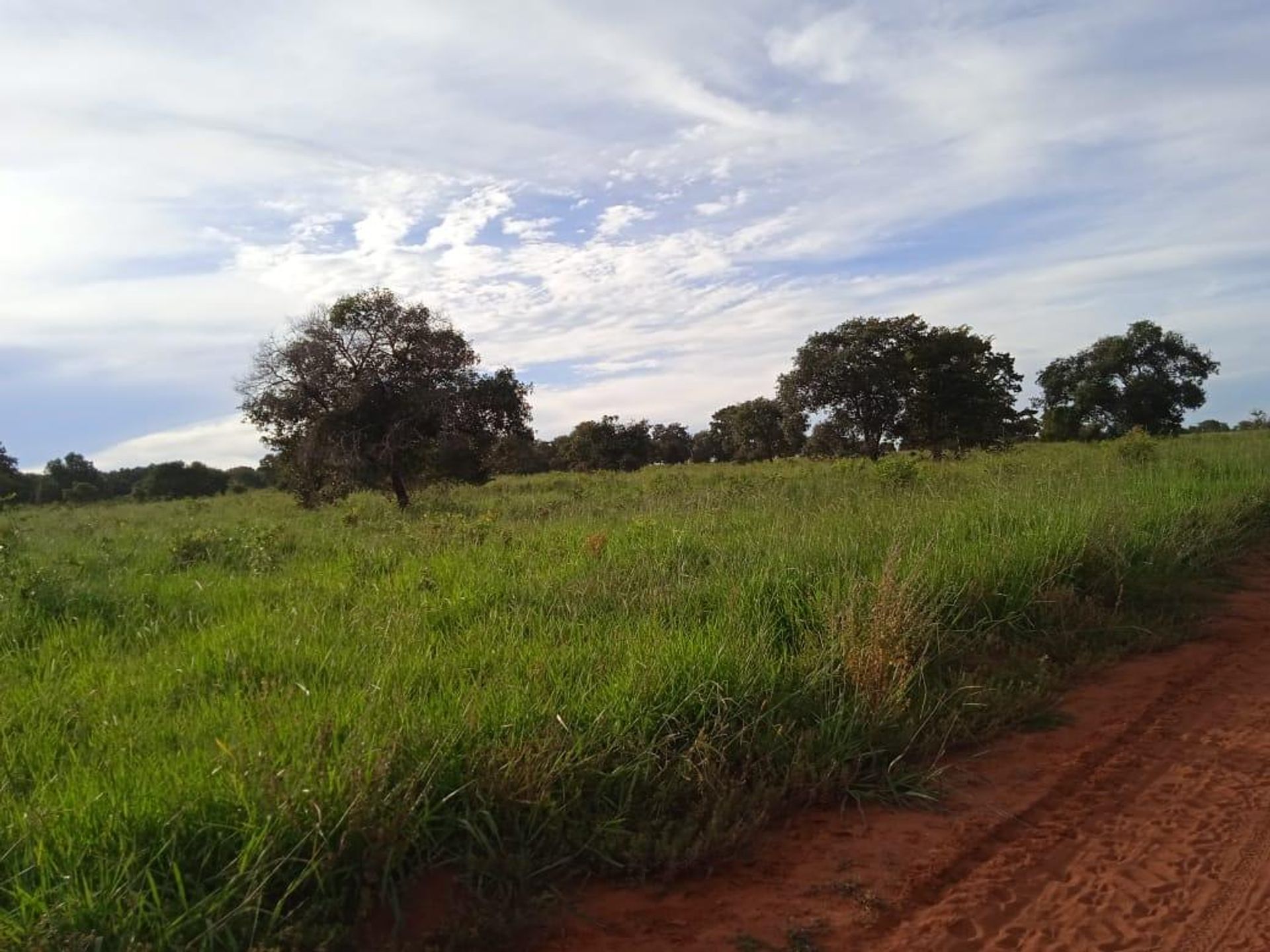 Autre dans , State of Goiás 11953222