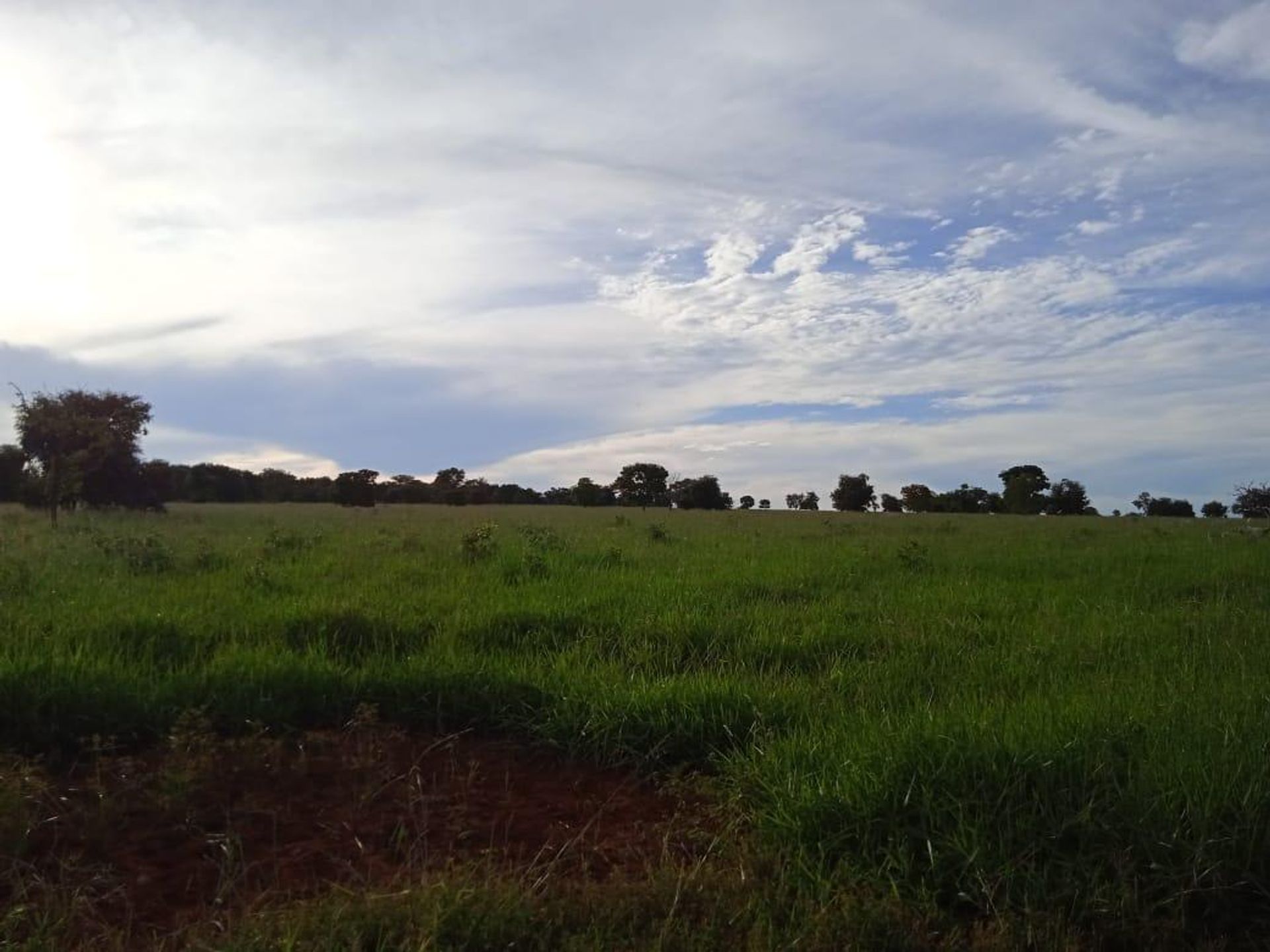 Autre dans , State of Goiás 11953222