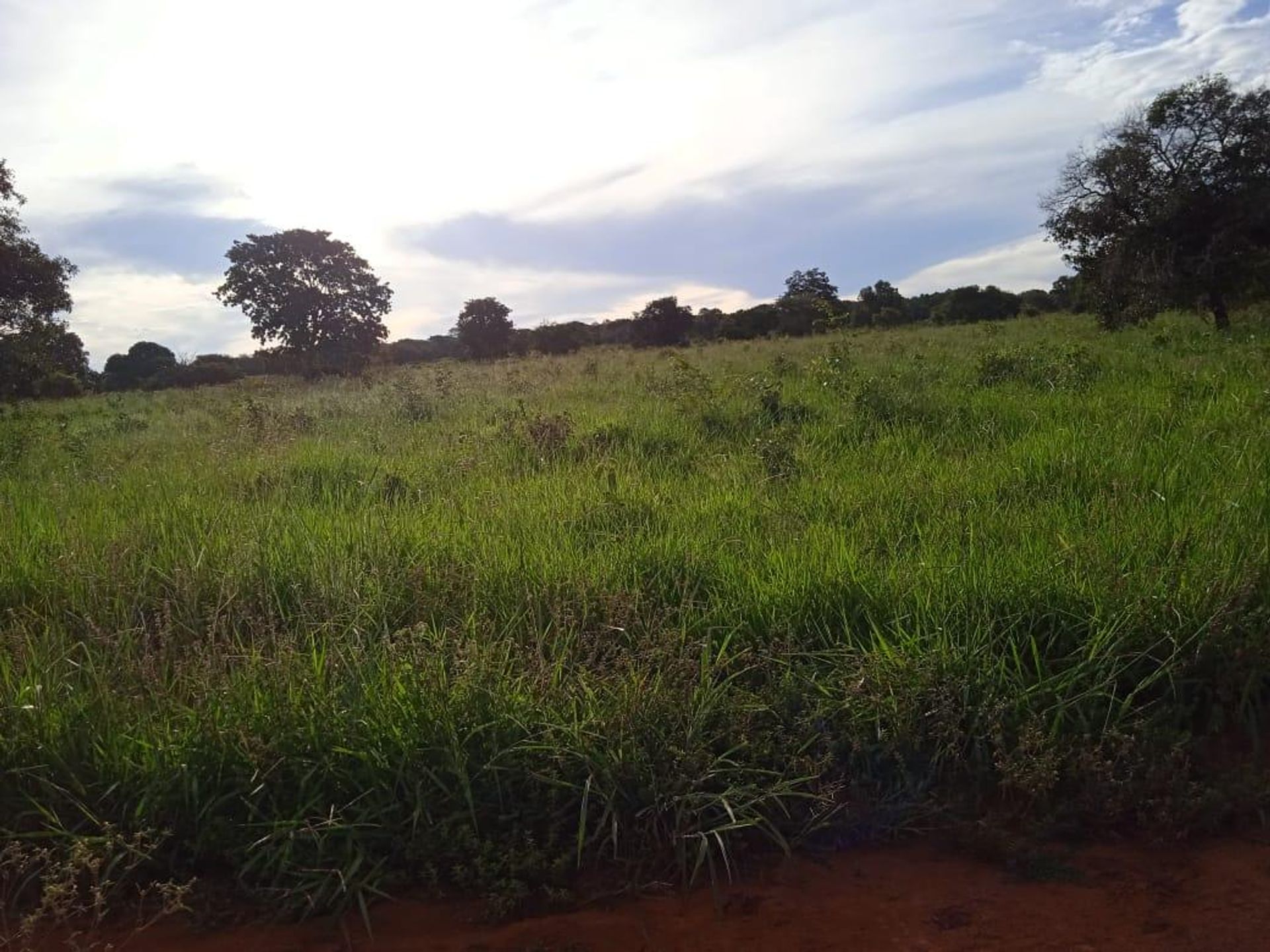 Otro en Araguaiana, Mato Grosso 11953222