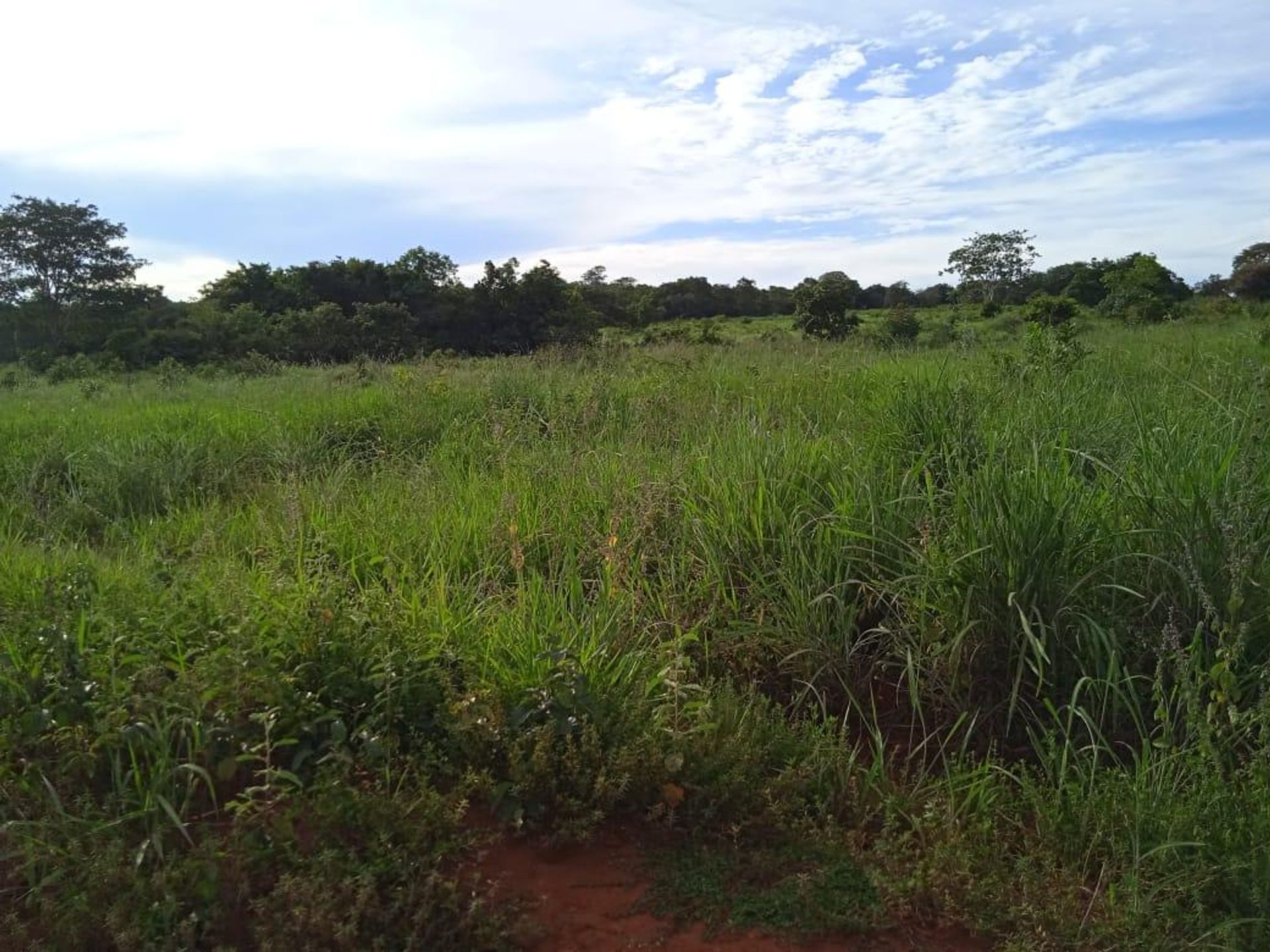 Autre dans Araguaiana, Mato Grosso 11953222