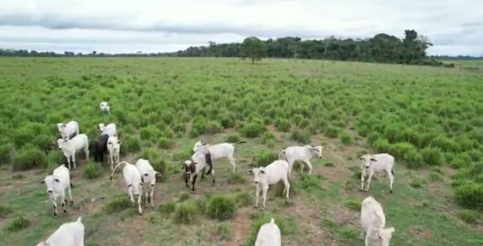 Inny w , State of Mato Grosso 11953223