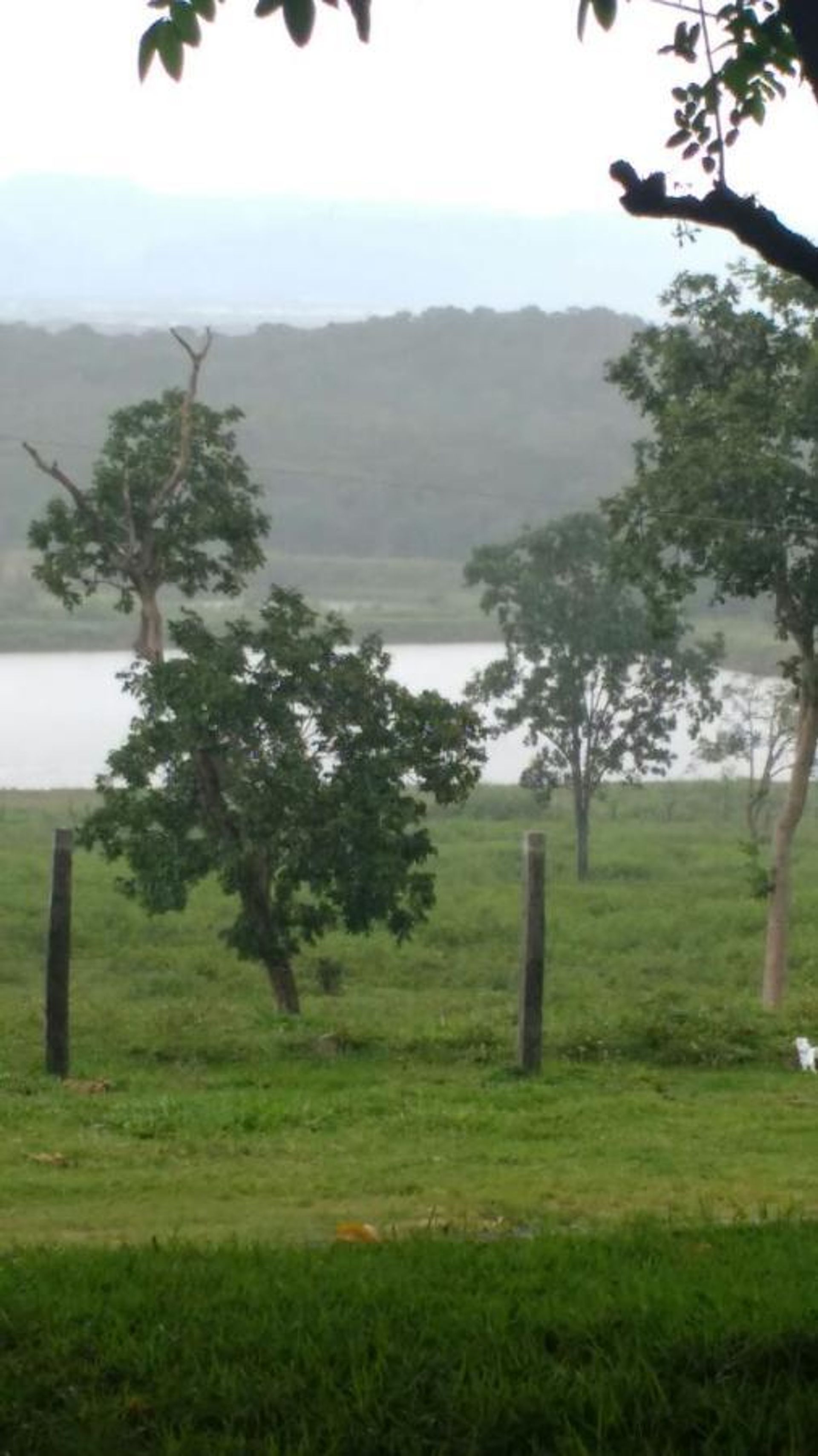 Autre dans Poconé, State of Mato Grosso 11953224