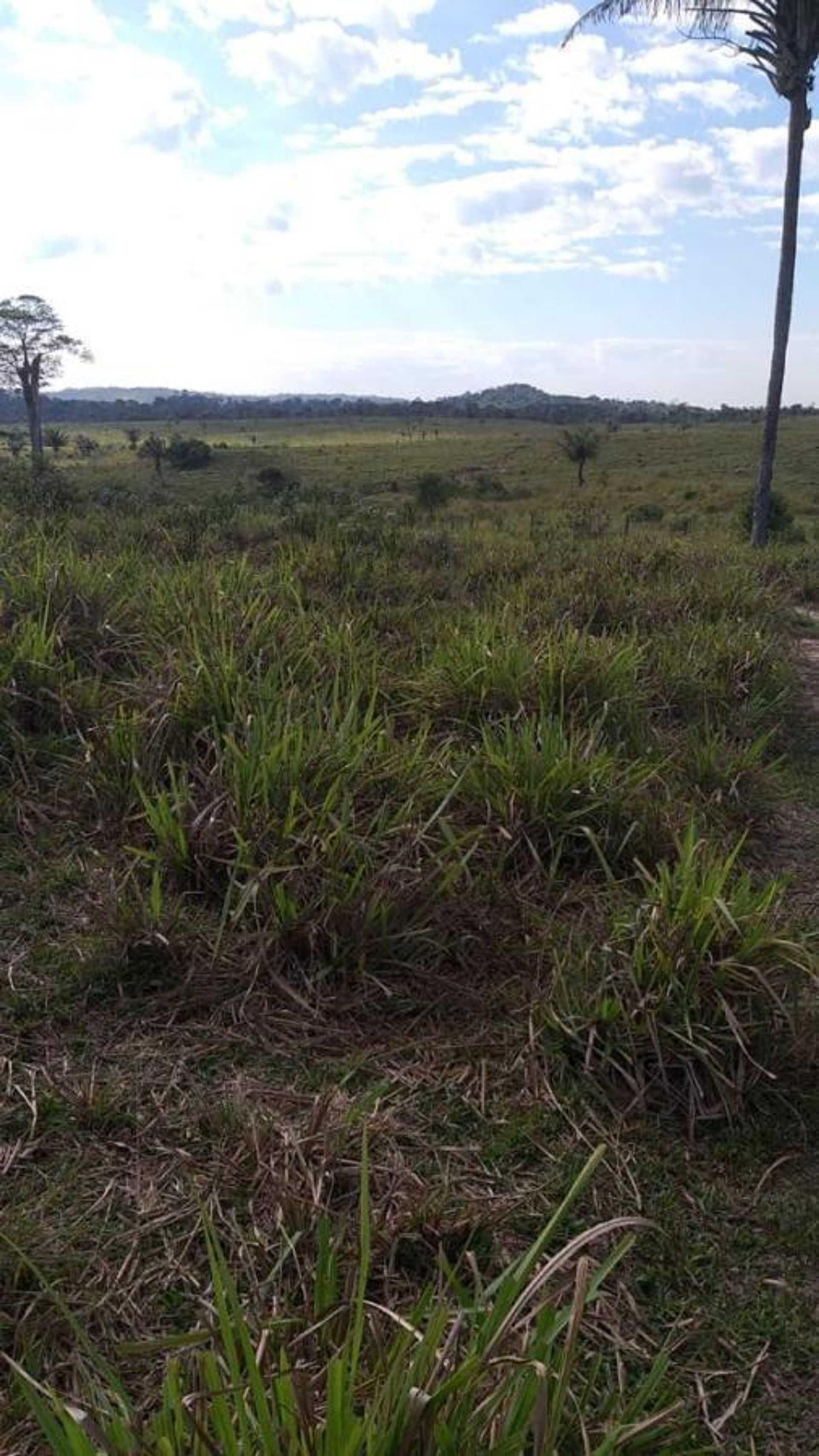 Muu sisään Aripuana, Mato Grosso 11953226